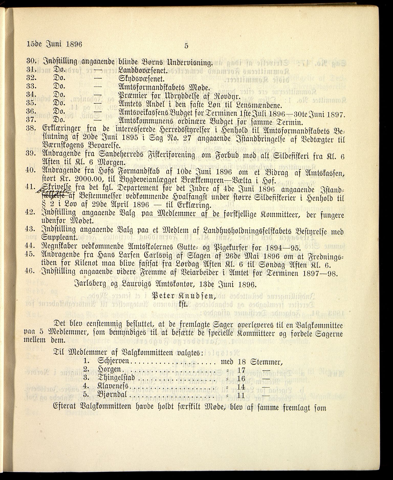 Vestfold fylkeskommune. Fylkestinget, VEMU/A-1315/A/Ab/Abb/L0043: Fylkestingsforhandlinger, 1896