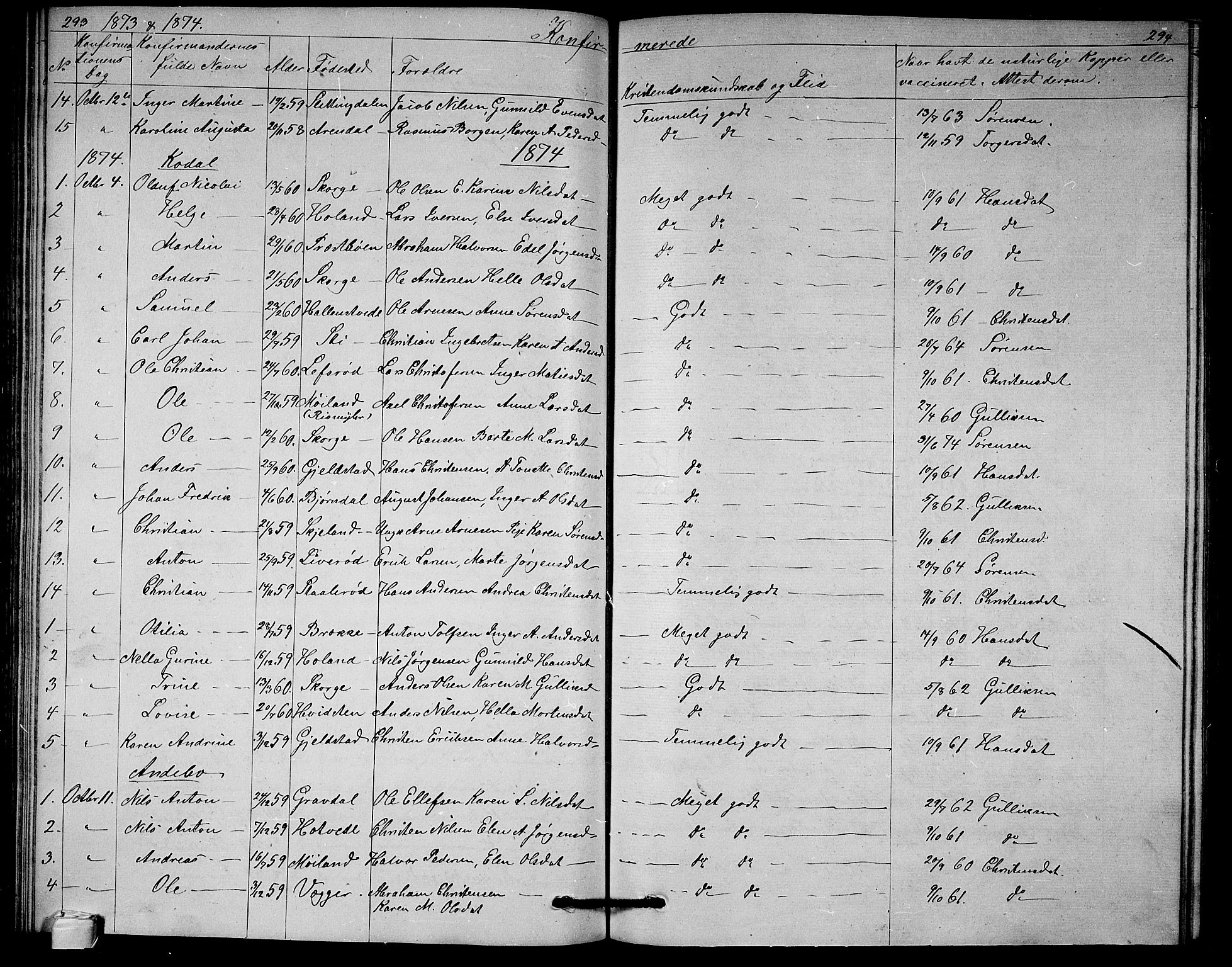Andebu kirkebøker, AV/SAKO-A-336/G/Ga/L0004: Klokkerbok nr. I 4, 1868-1882, s. 293-294