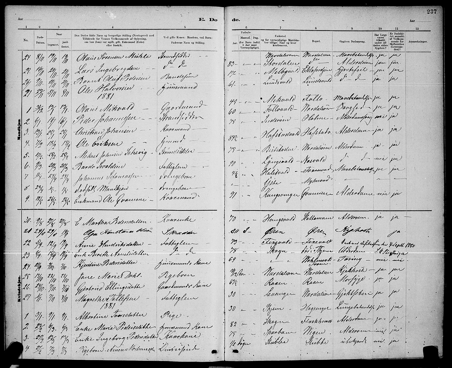 Ministerialprotokoller, klokkerbøker og fødselsregistre - Nord-Trøndelag, SAT/A-1458/723/L0256: Klokkerbok nr. 723C04, 1879-1890, s. 237