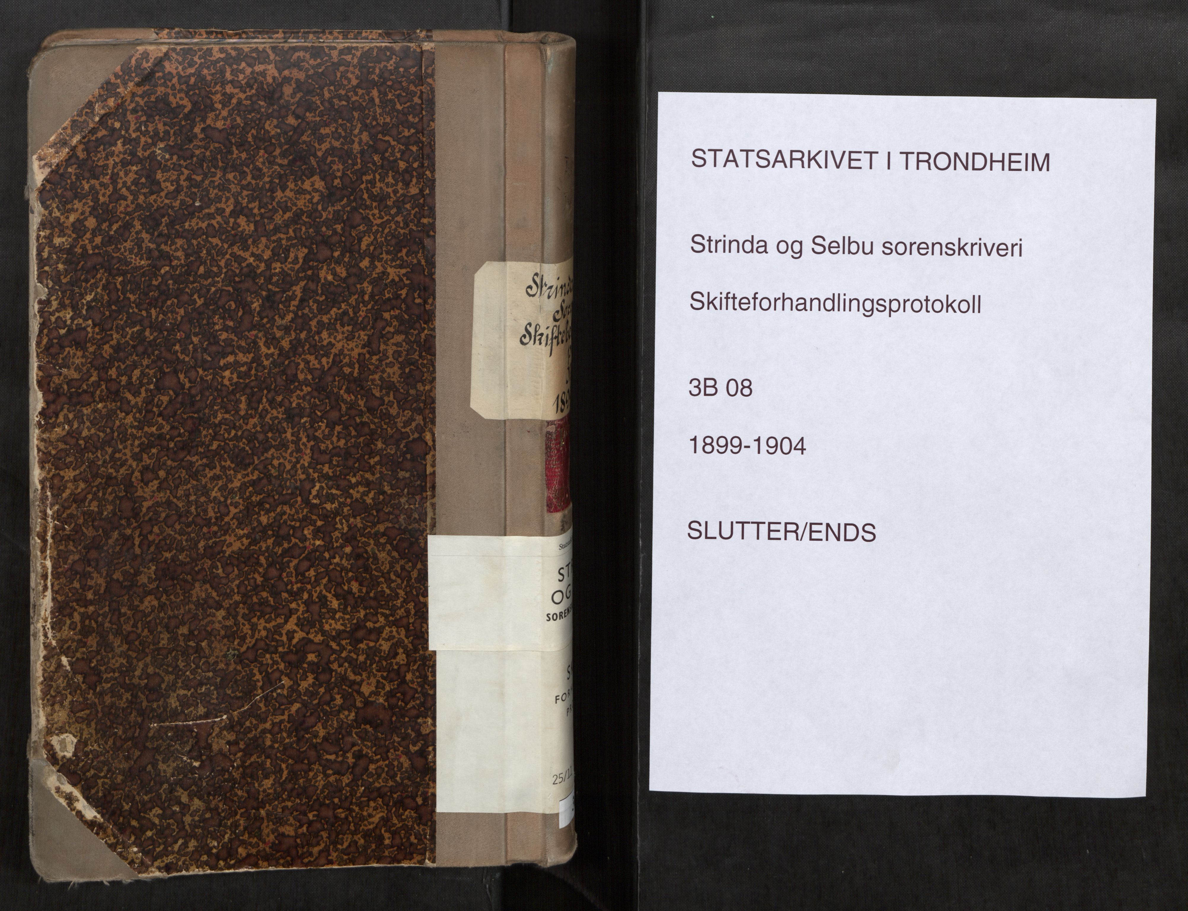 Strinda og Selbu sorenskriveri, SAT/A-0015/3/3B/L0008: Skifteforhandlingsprot. 8 8, 1899-1904
