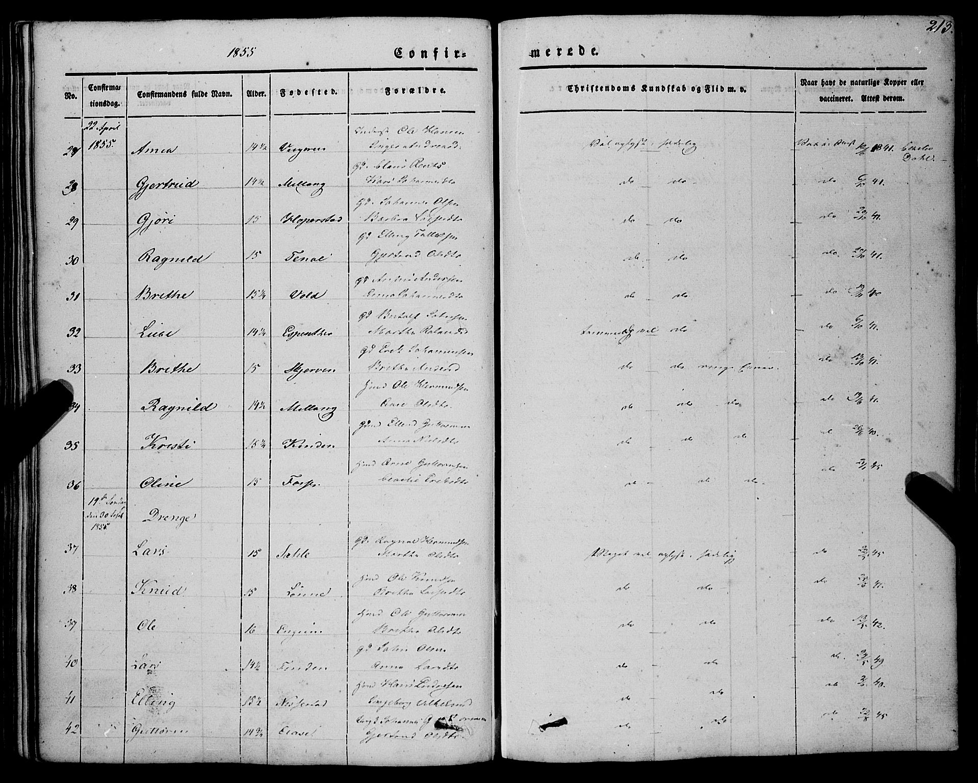 Vik sokneprestembete, AV/SAB-A-81501/H/Haa/Haaa/L0008: Ministerialbok nr. A 8, 1846-1865, s. 213