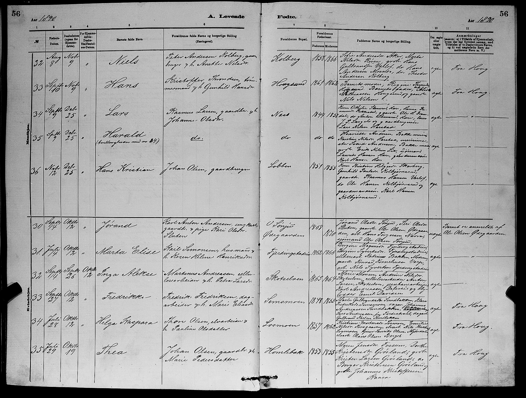 Eiker kirkebøker, AV/SAKO-A-4/G/Gb/L0003: Klokkerbok nr. II 3, 1880-1893, s. 56