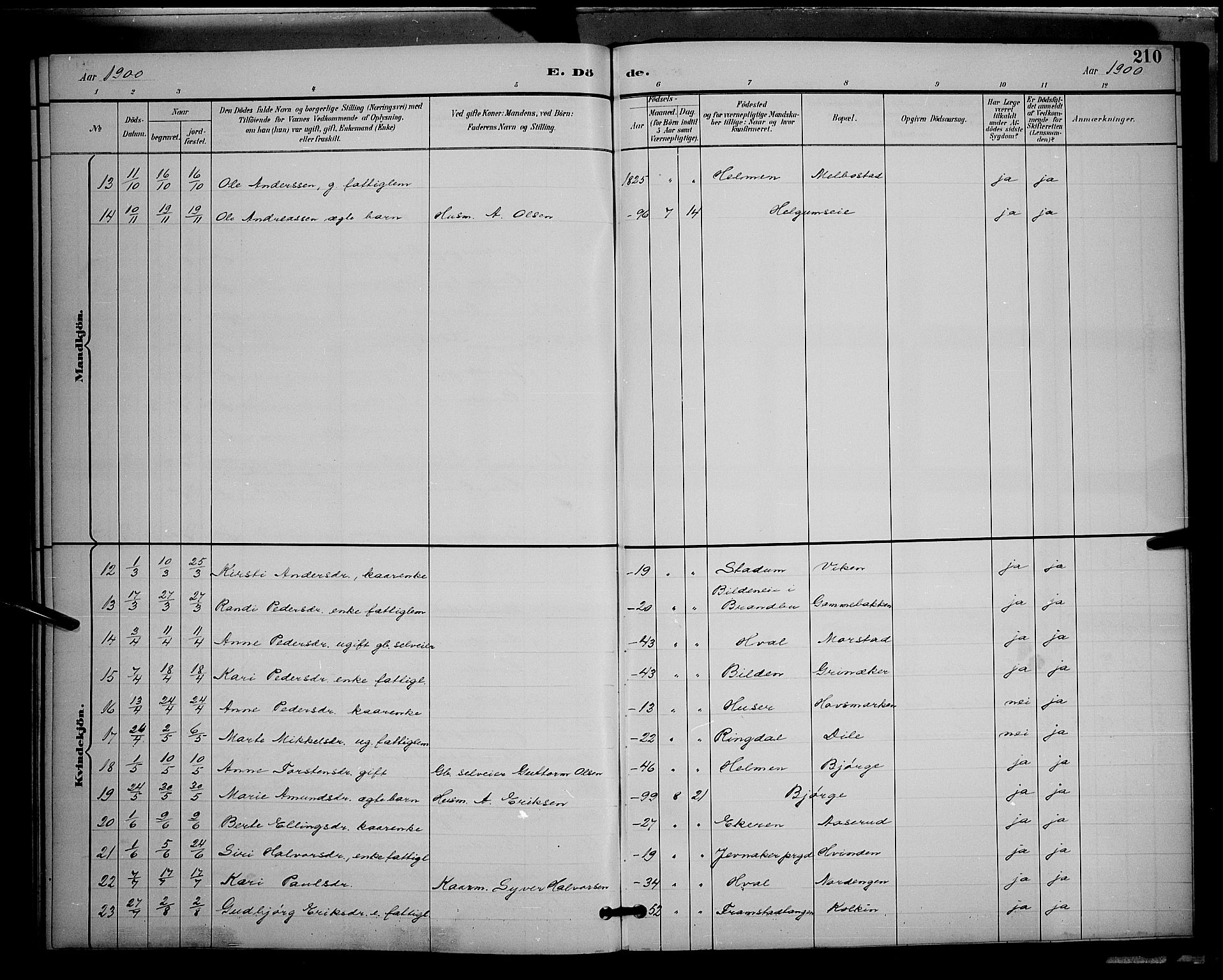Gran prestekontor, AV/SAH-PREST-112/H/Ha/Hab/L0005: Klokkerbok nr. 5, 1892-1900, s. 210