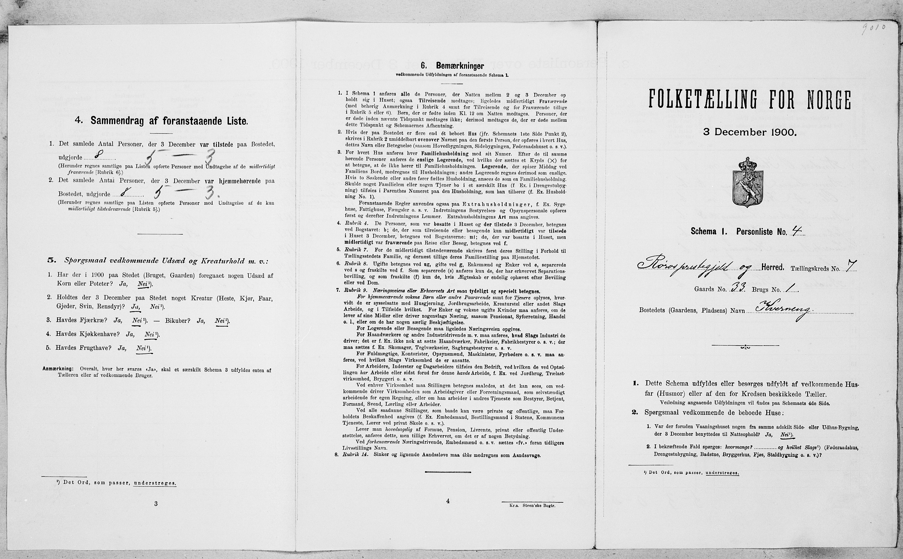 SAT, Folketelling 1900 for 1640 Røros herred, 1900, s. 866