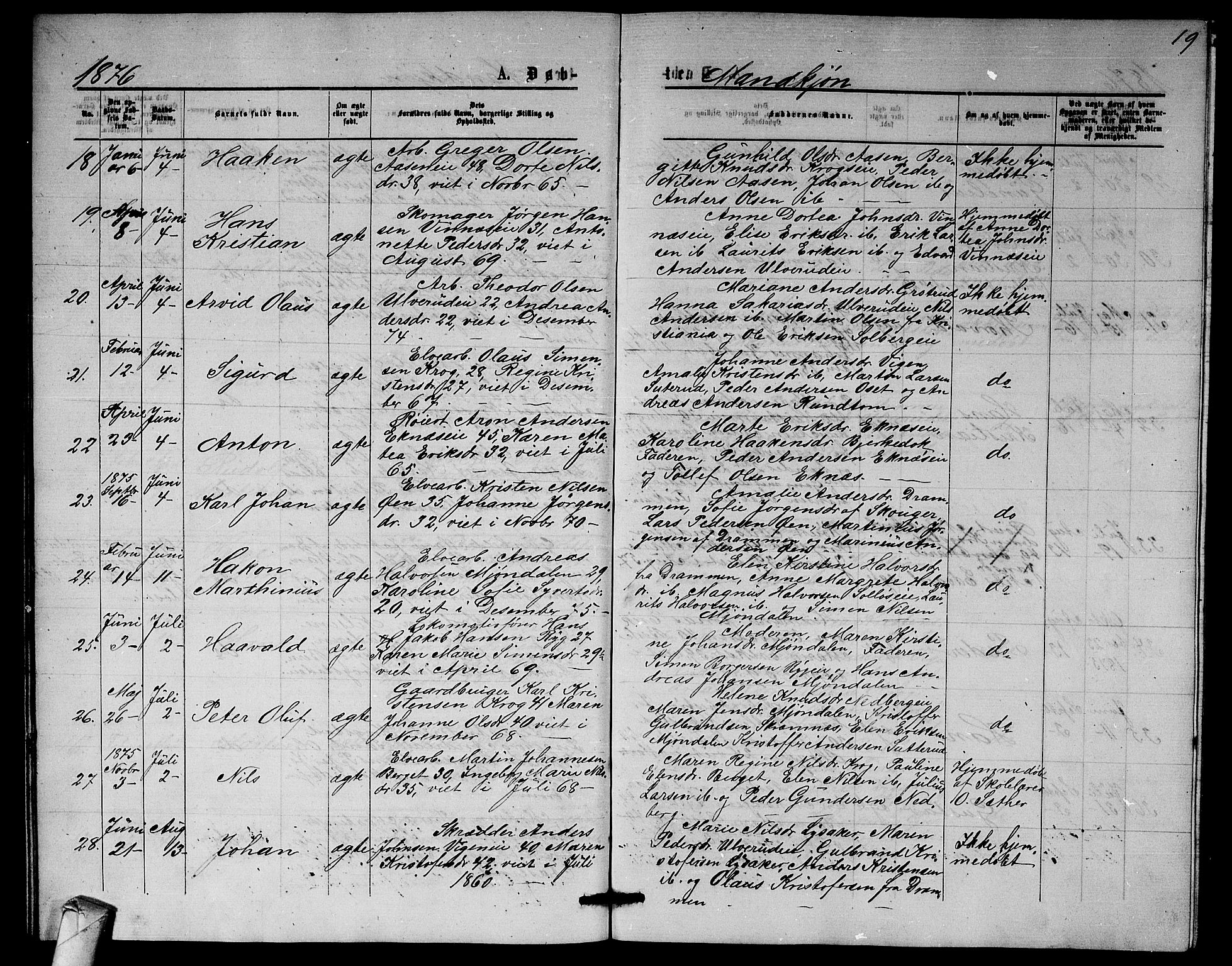 Nedre Eiker kirkebøker, AV/SAKO-A-612/G/Ga/L0001: Klokkerbok nr. 1, 1873-1880, s. 19
