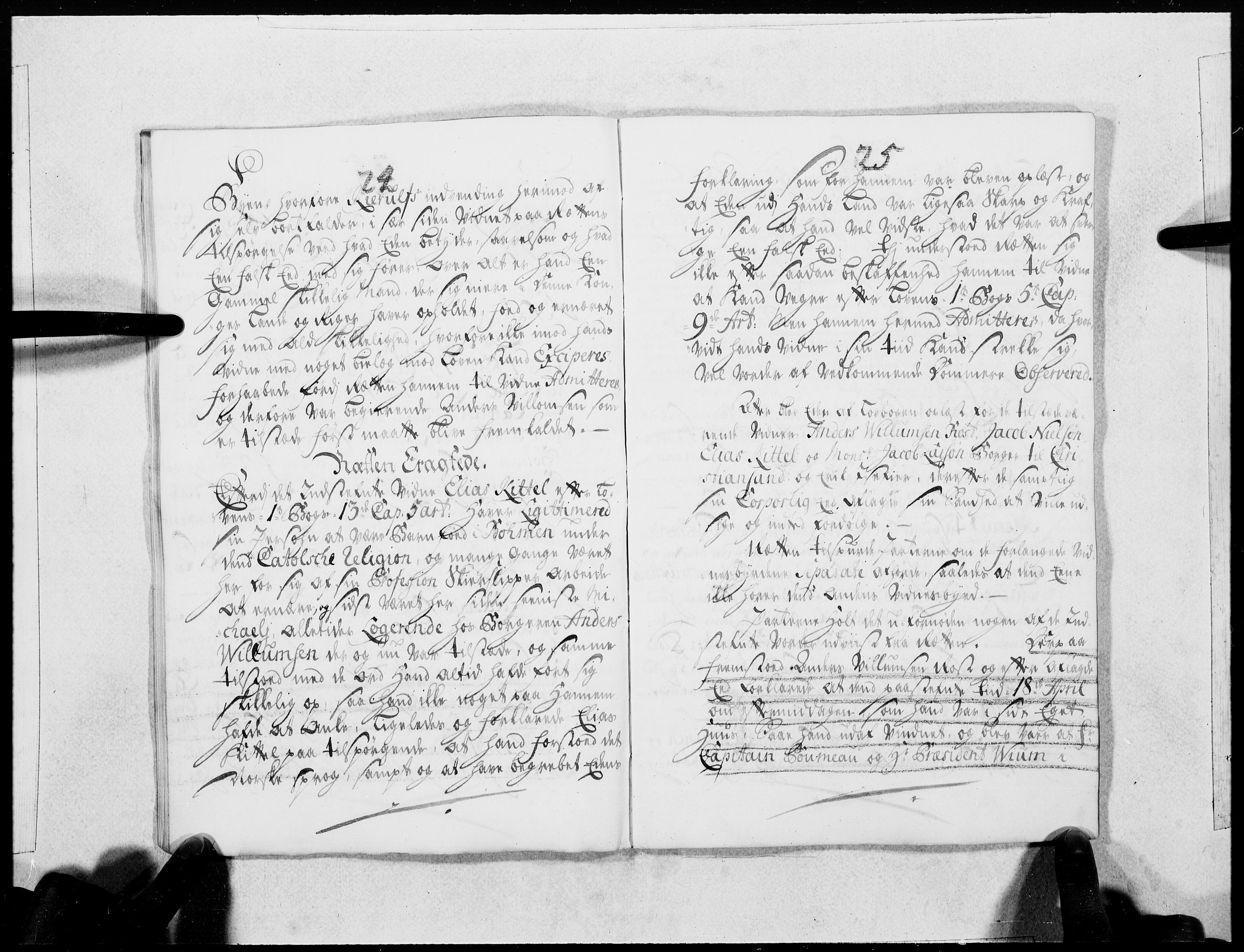 Danske Kanselli 1572-1799, AV/RA-EA-3023/F/Fc/Fcc/Fcca/L0112: Norske innlegg 1572-1799, 1732, s. 300