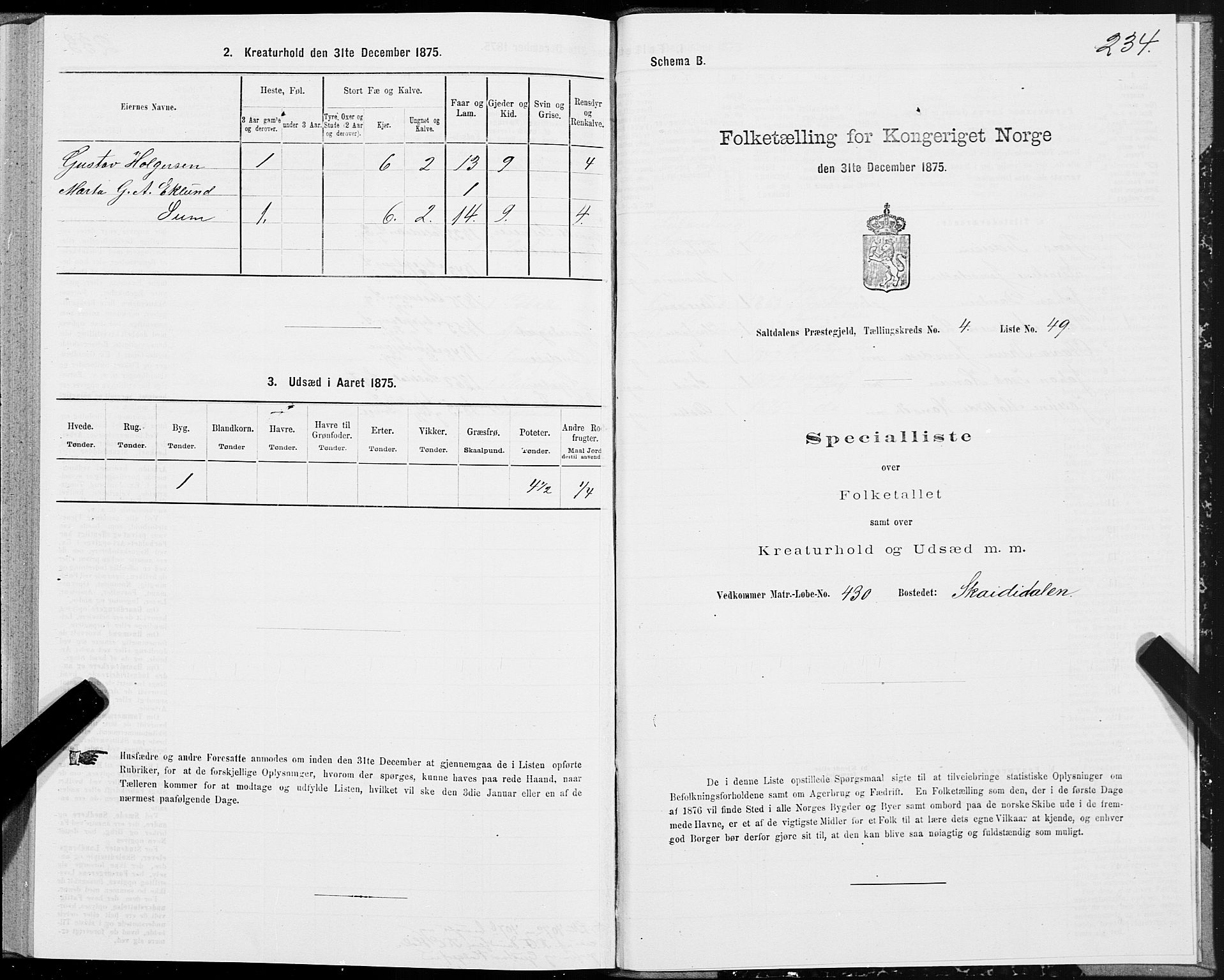SAT, Folketelling 1875 for 1840P Saltdal prestegjeld, 1875, s. 2234
