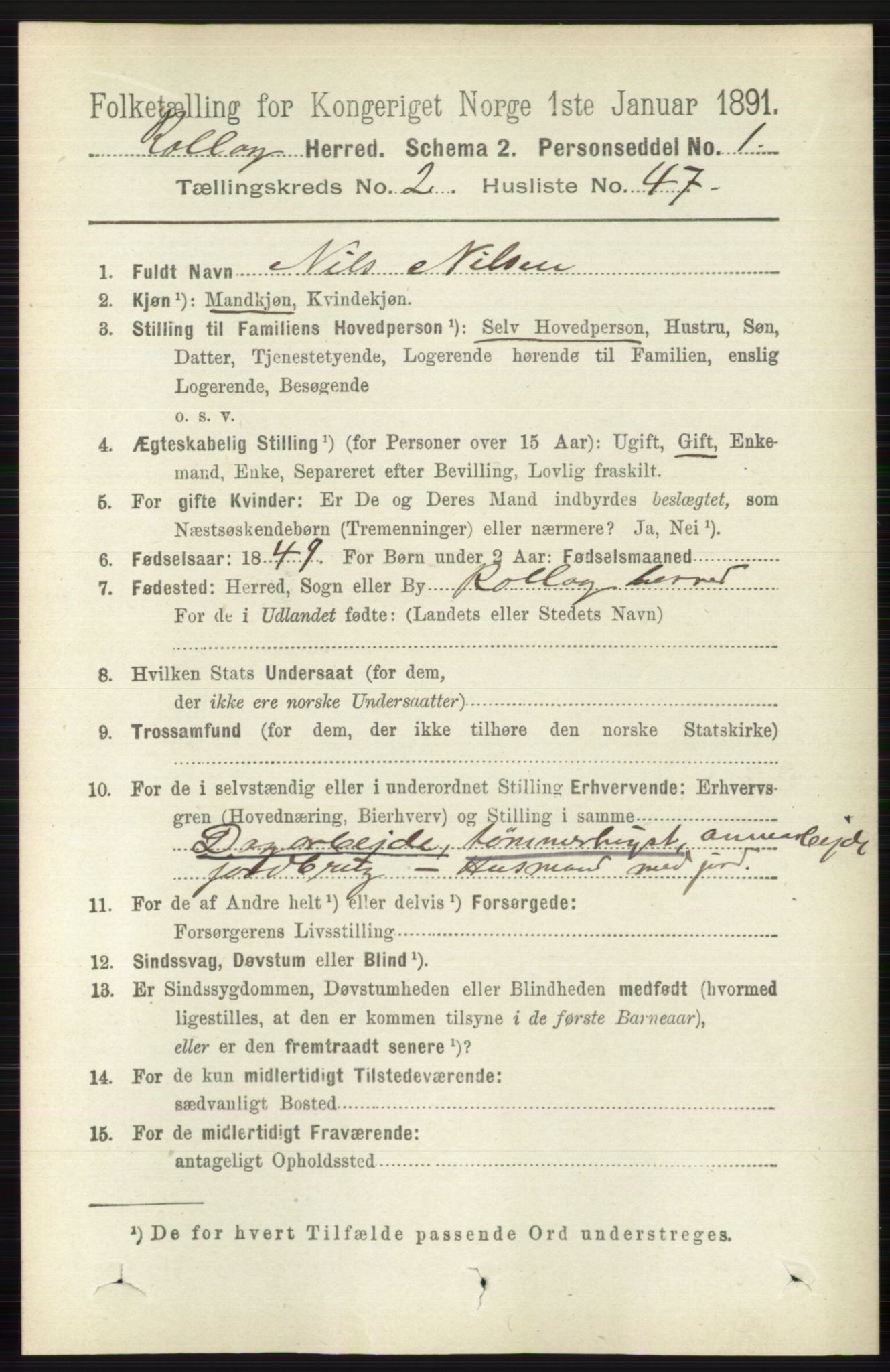 RA, Folketelling 1891 for 0632 Rollag herred, 1891, s. 719