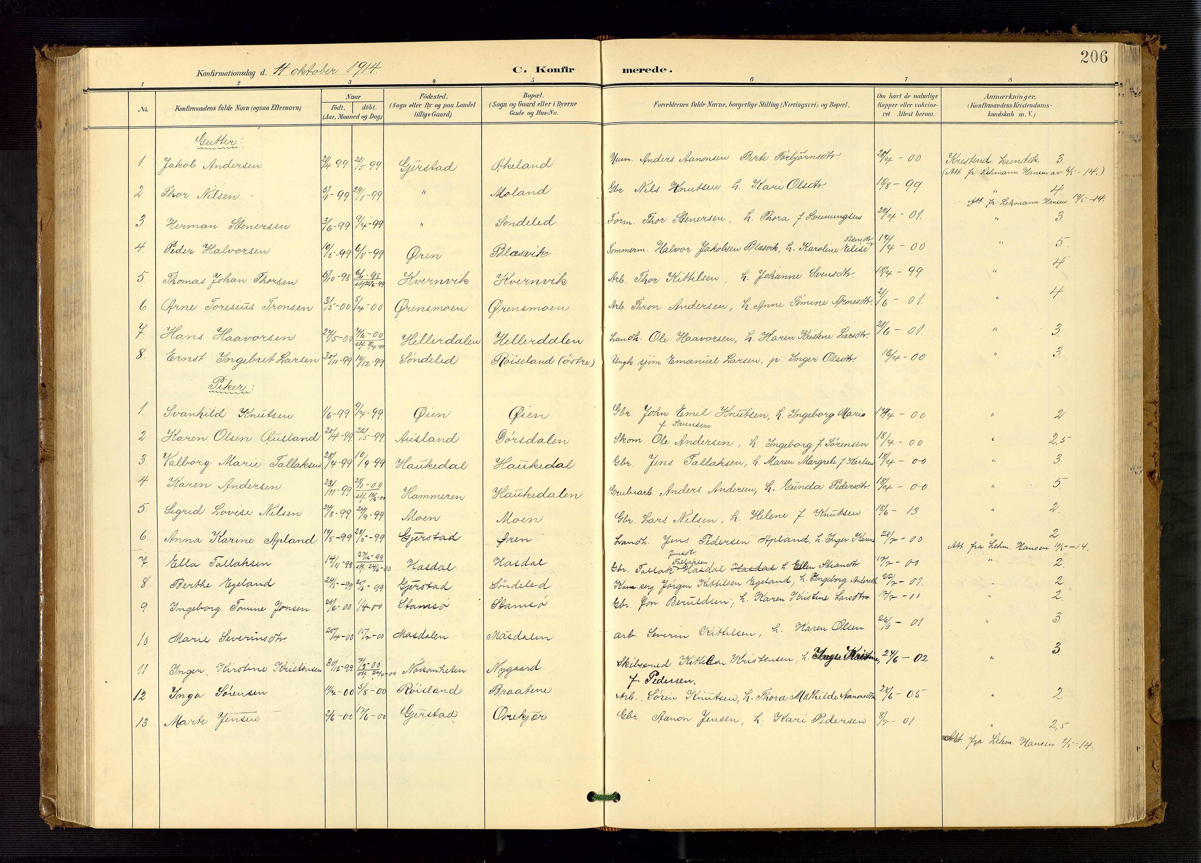 Søndeled sokneprestkontor, AV/SAK-1111-0038/F/Fb/L0005: Klokkerbok nr. B 6, 1900-1962, s. 206