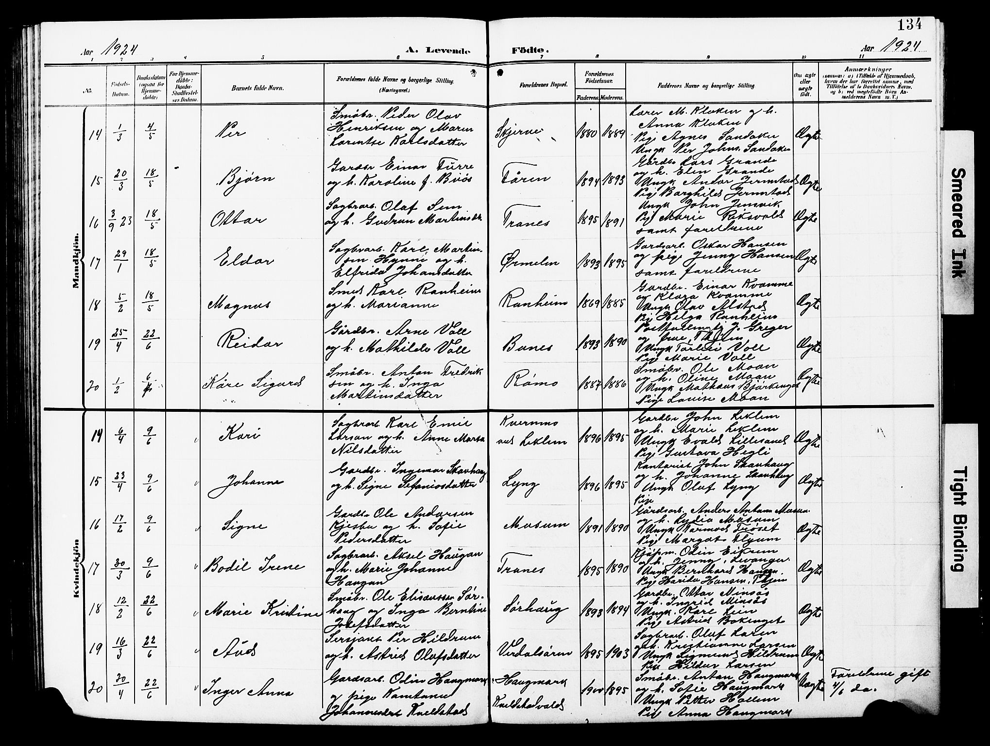 Ministerialprotokoller, klokkerbøker og fødselsregistre - Nord-Trøndelag, AV/SAT-A-1458/723/L0258: Klokkerbok nr. 723C06, 1908-1927, s. 134