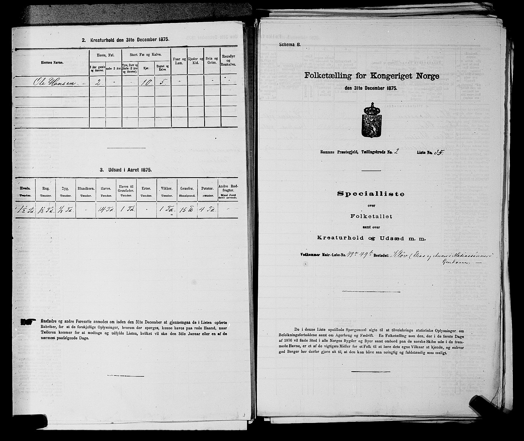 SAKO, Folketelling 1875 for 0718P Ramnes prestegjeld, 1875, s. 219