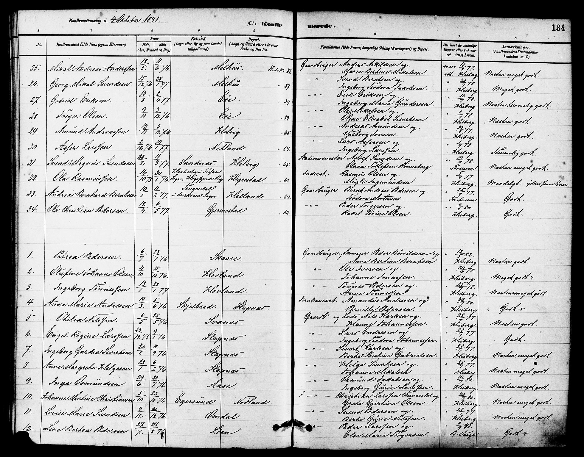 Eigersund sokneprestkontor, SAST/A-101807/S08/L0017: Ministerialbok nr. A 14, 1879-1892, s. 134