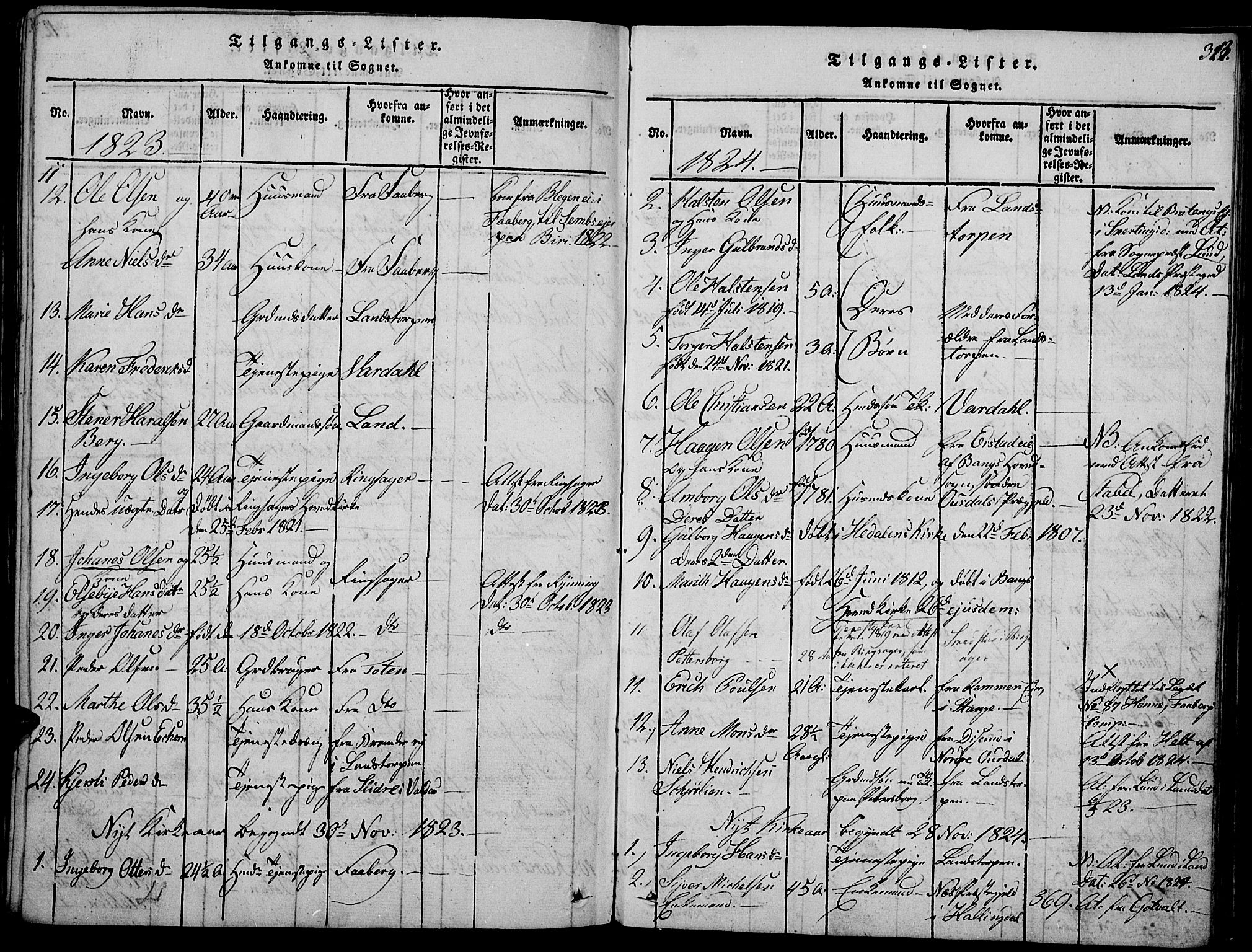 Biri prestekontor, AV/SAH-PREST-096/H/Ha/Haa/L0003: Ministerialbok nr. 3, 1814-1828, s. 313