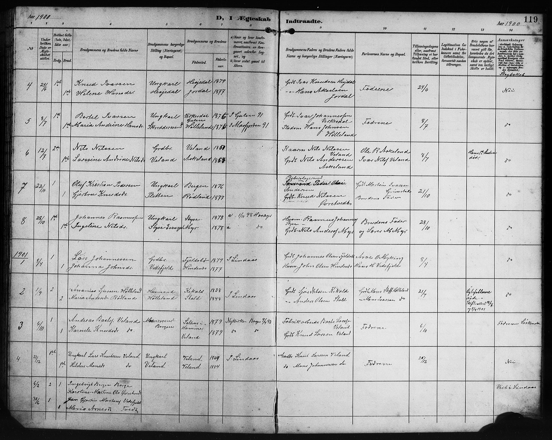 Lindås Sokneprestembete, AV/SAB-A-76701/H/Hab/Habe/L0003: Klokkerbok nr. E 3, 1892-1905, s. 119