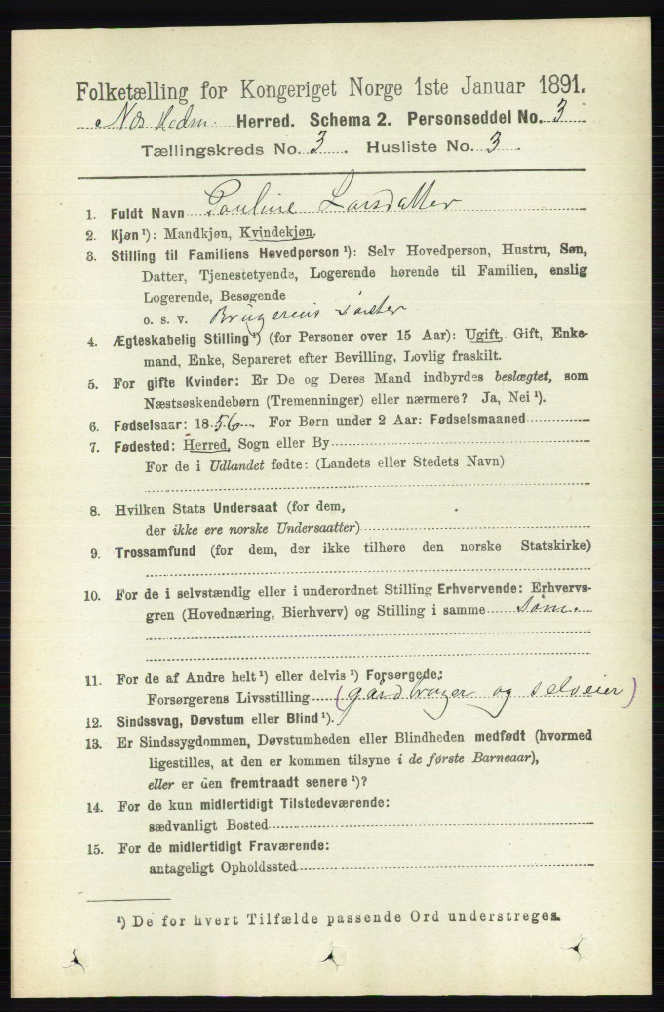 RA, Folketelling 1891 for 0411 Nes herred, 1891, s. 1610