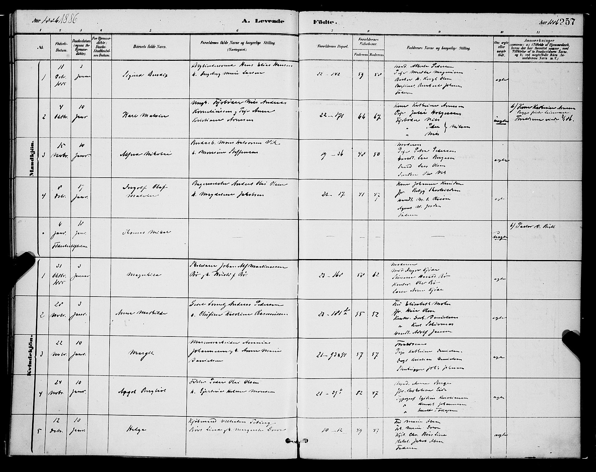 Korskirken sokneprestembete, AV/SAB-A-76101/H/Hab: Klokkerbok nr. B 8, 1878-1887, s. 257