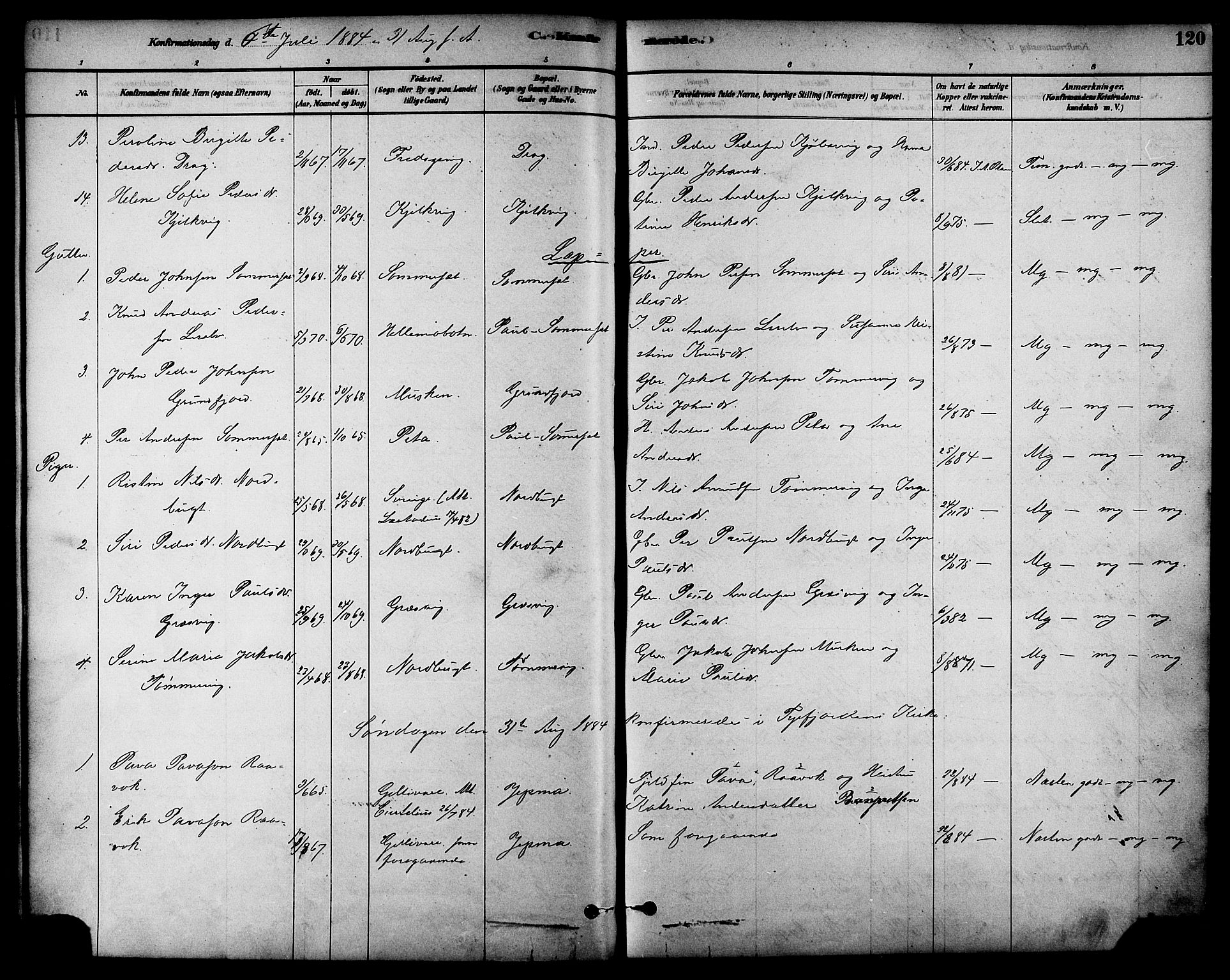 Ministerialprotokoller, klokkerbøker og fødselsregistre - Nordland, AV/SAT-A-1459/861/L0868: Ministerialbok nr. 861A03, 1879-1889, s. 120