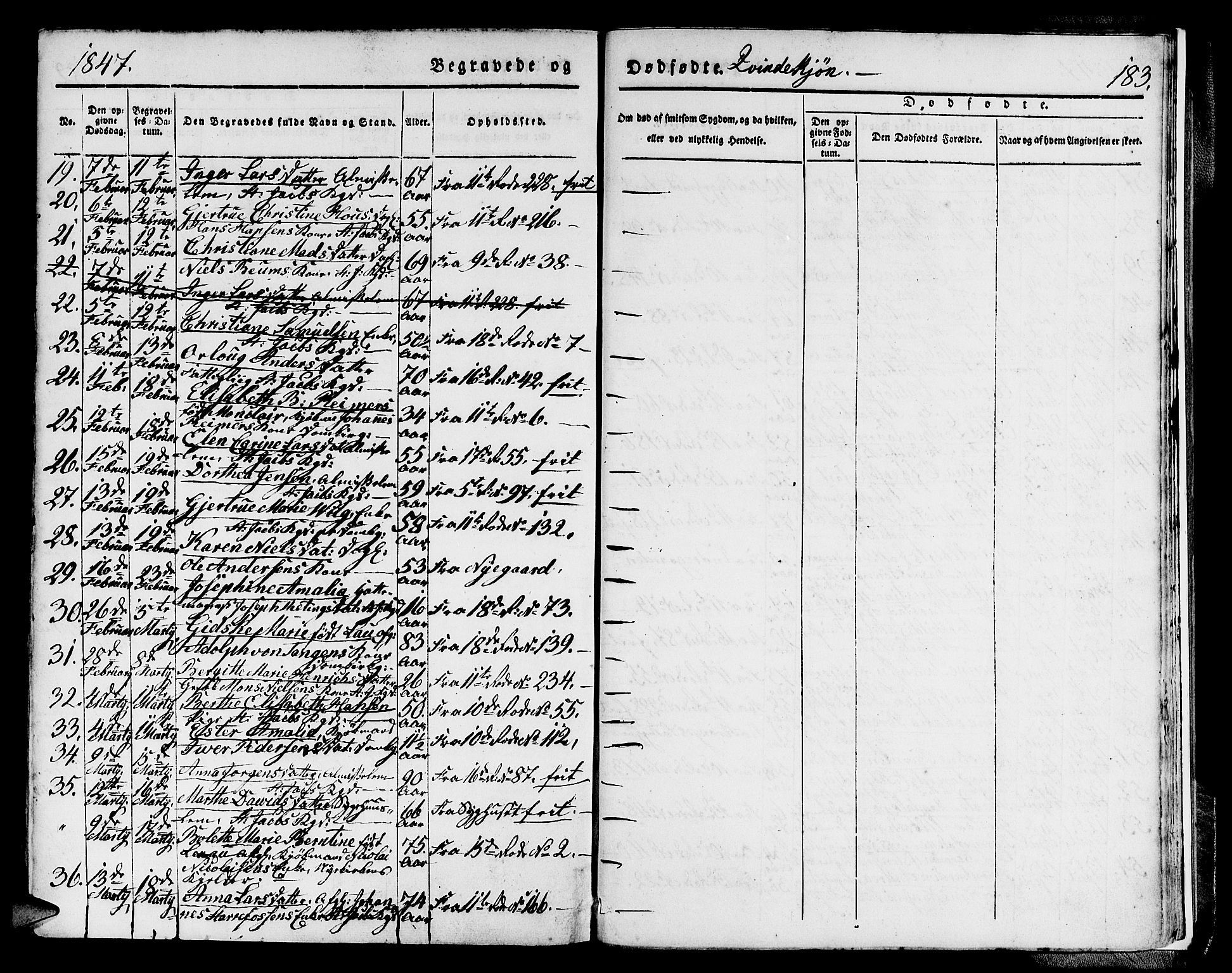 Domkirken sokneprestembete, AV/SAB-A-74801/H/Hab/L0037: Klokkerbok nr. E 1, 1836-1848, s. 183