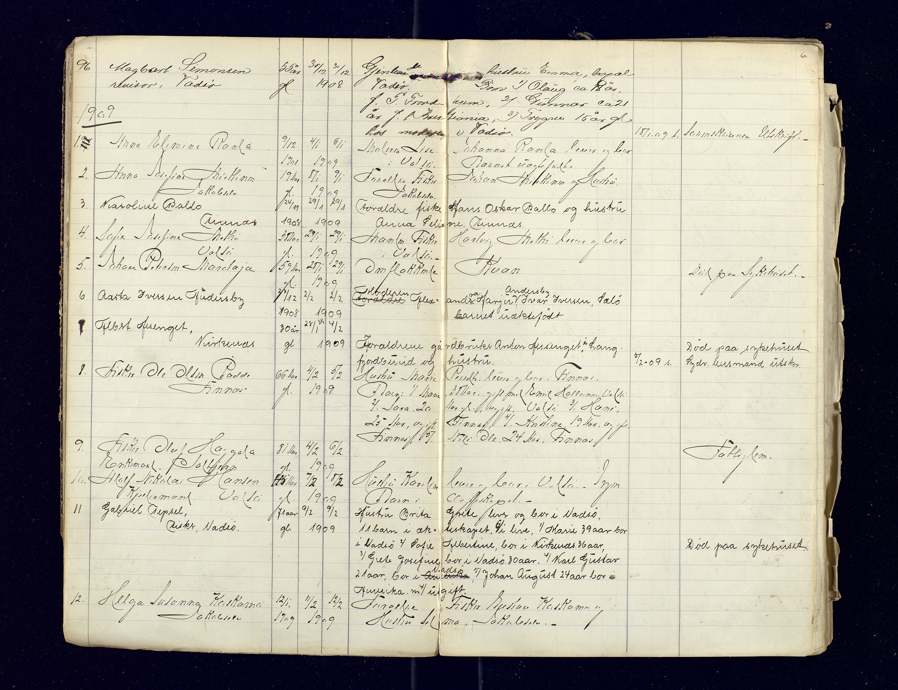 Nord-Varanger (Vadsø) lensmannskontor, AV/SATØ-S-1166/1/Fi/Fia/L0158: Dødsfallsprotokoller, 1908-1920, s. 6