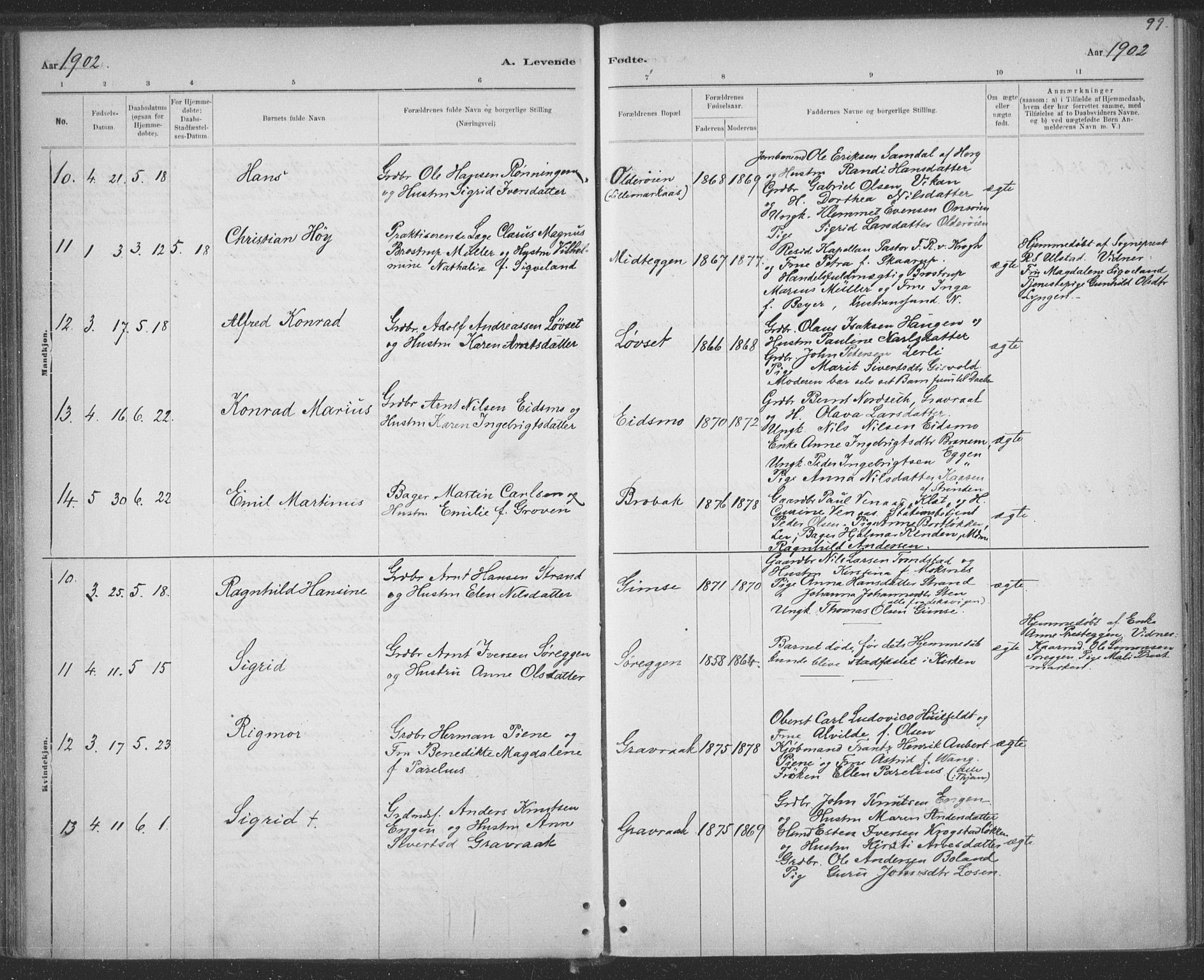 Ministerialprotokoller, klokkerbøker og fødselsregistre - Sør-Trøndelag, SAT/A-1456/691/L1085: Ministerialbok nr. 691A17, 1887-1908, s. 99