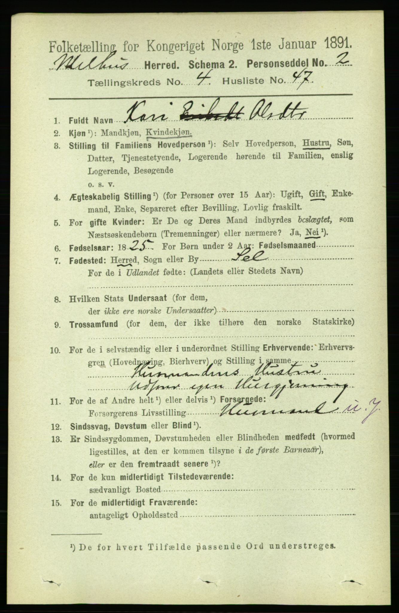 RA, Folketelling 1891 for 1653 Melhus herred, 1891, s. 2203