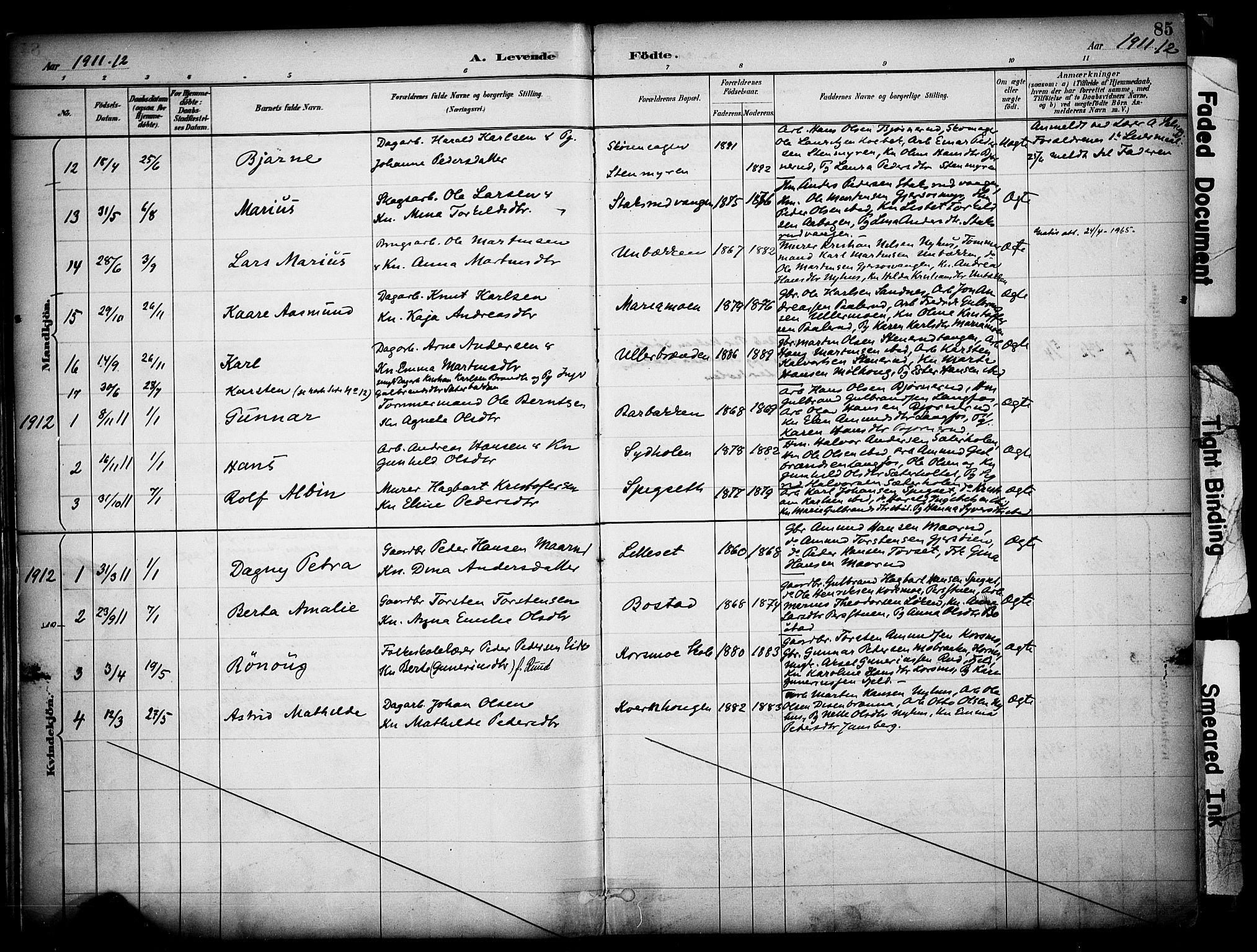 Sør-Odal prestekontor, SAH/PREST-030/H/Ha/Haa/L0008: Ministerialbok nr. 8, 1886-1922, s. 85