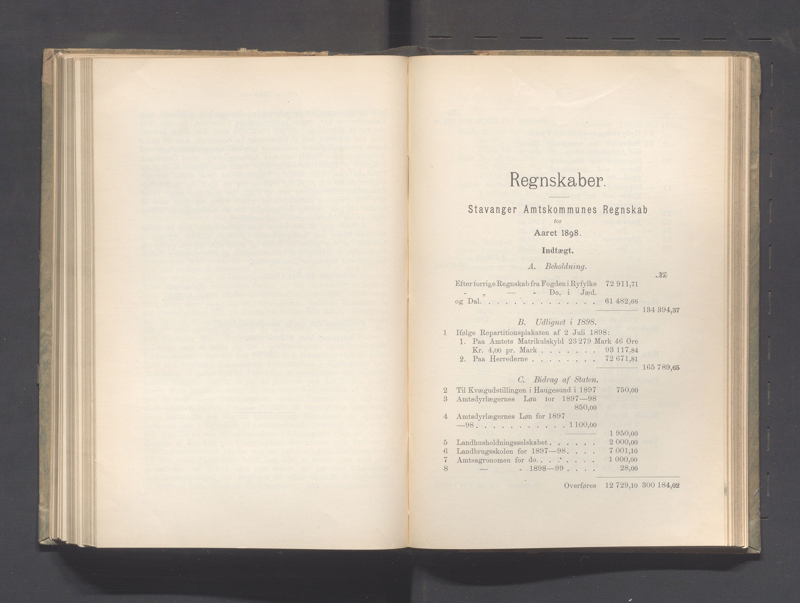 Rogaland fylkeskommune - Fylkesrådmannen , IKAR/A-900/A, 1899, s. 218