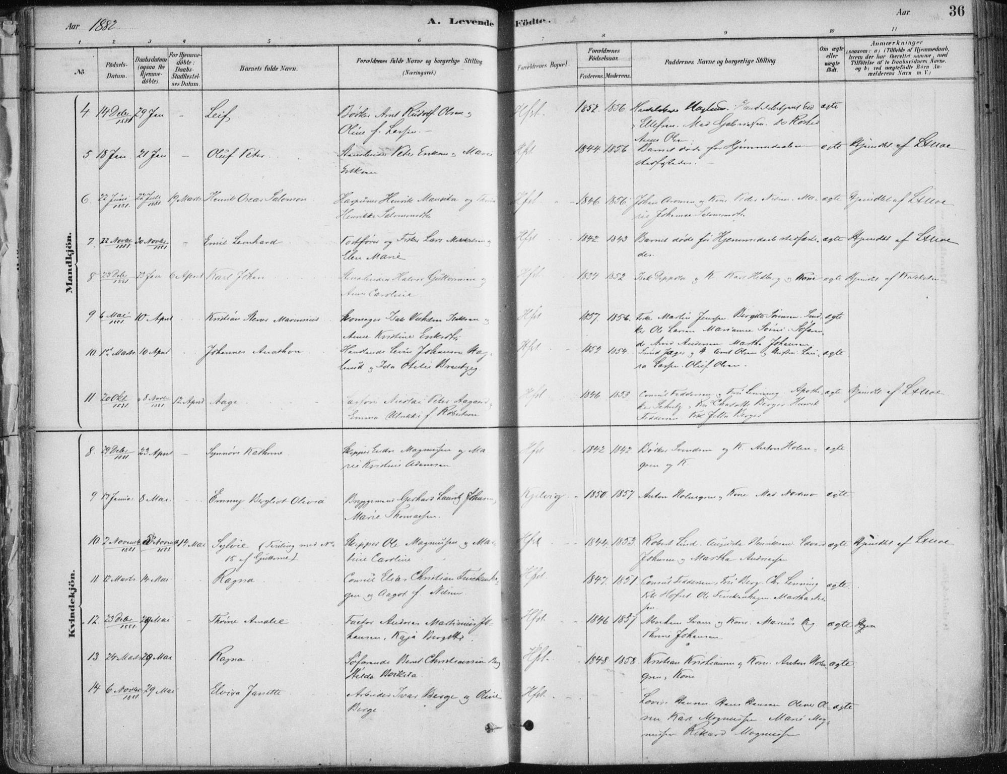 Hammerfest sokneprestkontor, SATØ/S-1347/H/Ha/L0008.kirke: Ministerialbok nr. 8, 1878-1889, s. 36