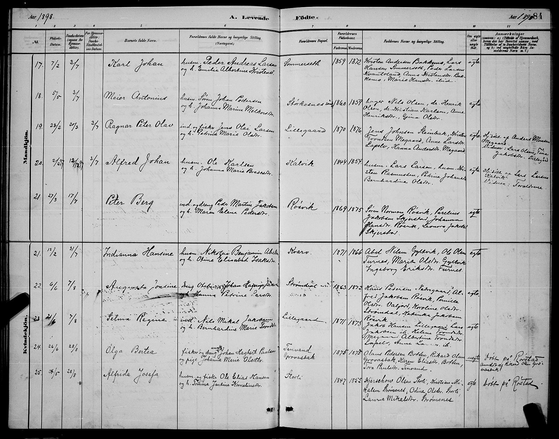 Ministerialprotokoller, klokkerbøker og fødselsregistre - Nordland, AV/SAT-A-1459/853/L0772: Ministerialbok nr. 853A11, 1881-1900, s. 84