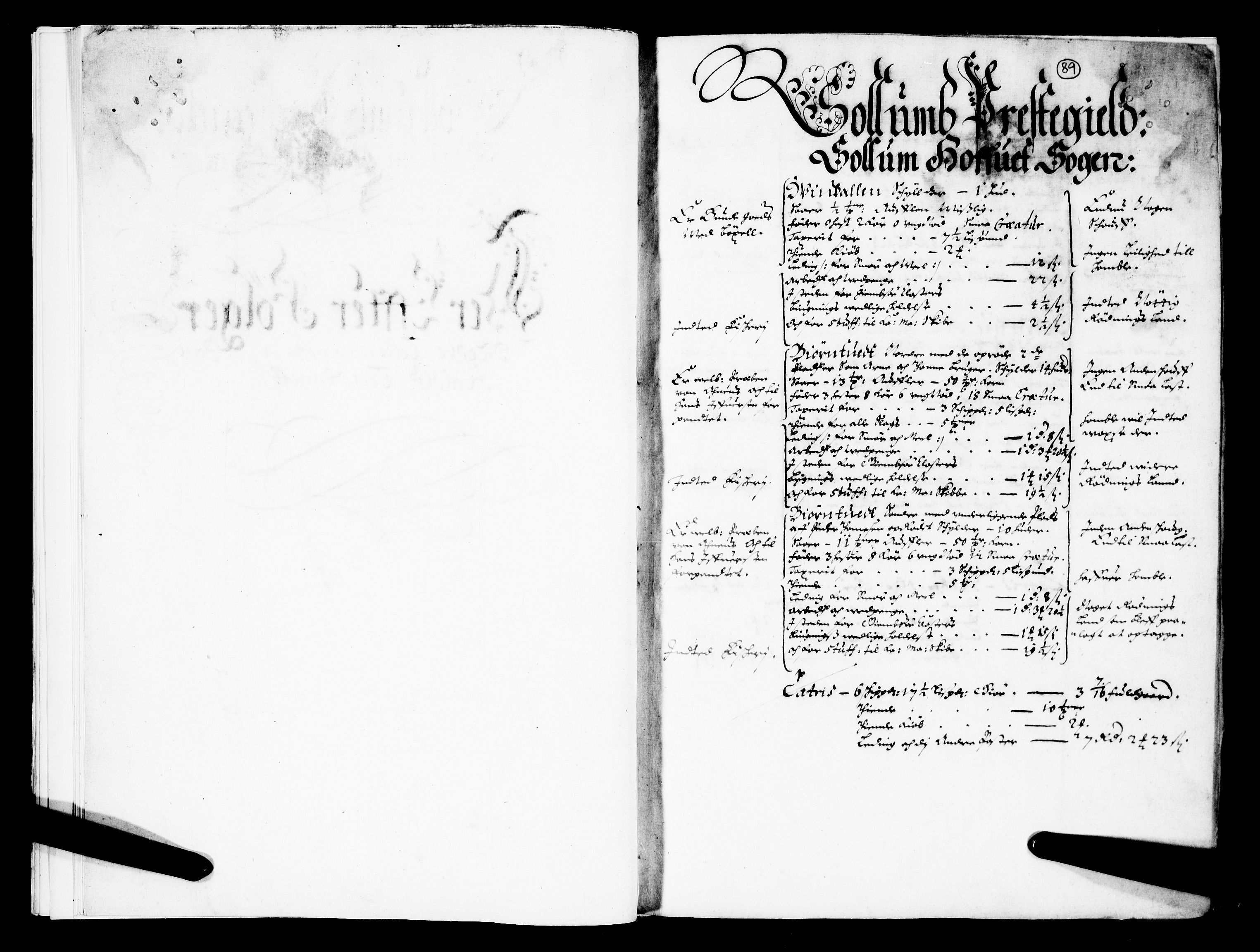 Rentekammeret inntil 1814, Realistisk ordnet avdeling, RA/EA-4070/N/Nb/Nba/L0026: Nedre og Øvre Telemark fogderi, 1667, s. 88b-89a