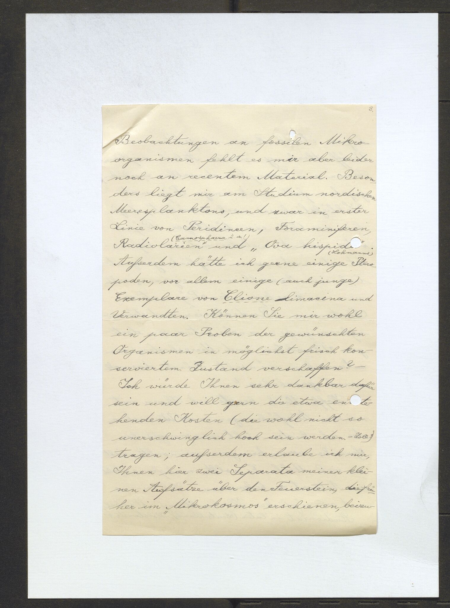Bergens Museum, AV/SAB-A-17301/13/D/L0002: Korrespondanse , 1928-1940, s. 301