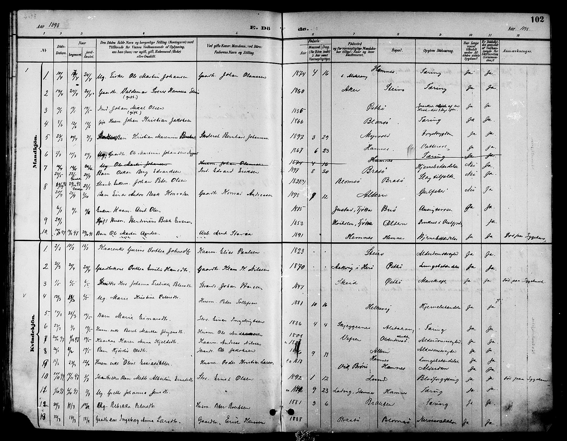 Ministerialprotokoller, klokkerbøker og fødselsregistre - Nordland, SAT/A-1459/830/L0463: Klokkerbok nr. 830C05, 1895-1906, s. 102