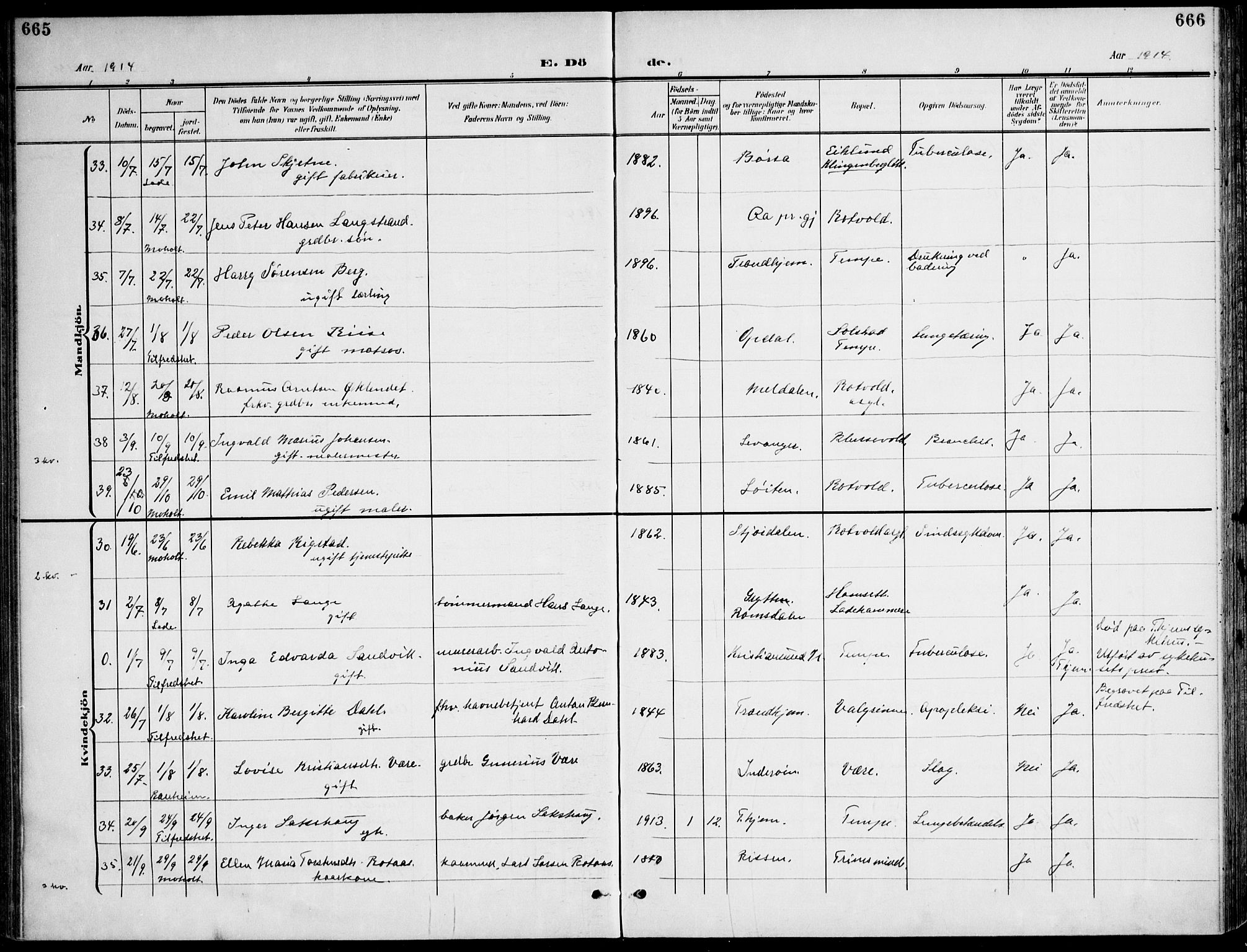 Ministerialprotokoller, klokkerbøker og fødselsregistre - Sør-Trøndelag, SAT/A-1456/607/L0320: Ministerialbok nr. 607A04, 1907-1915, s. 665-666