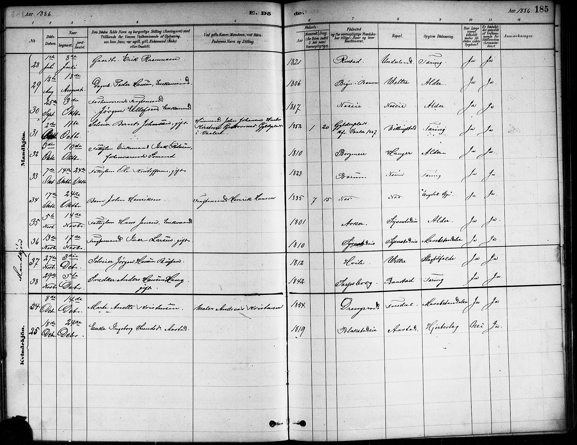 Asker prestekontor Kirkebøker, SAO/A-10256a/F/Fa/L0013: Ministerialbok nr. I 13, 1879-1896, s. 185