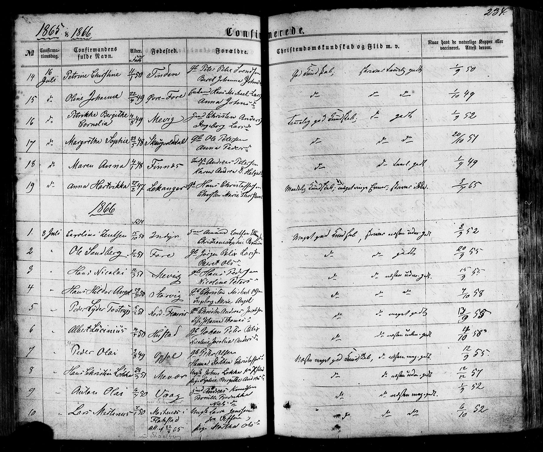 Ministerialprotokoller, klokkerbøker og fødselsregistre - Nordland, AV/SAT-A-1459/805/L0098: Ministerialbok nr. 805A05, 1862-1879, s. 234