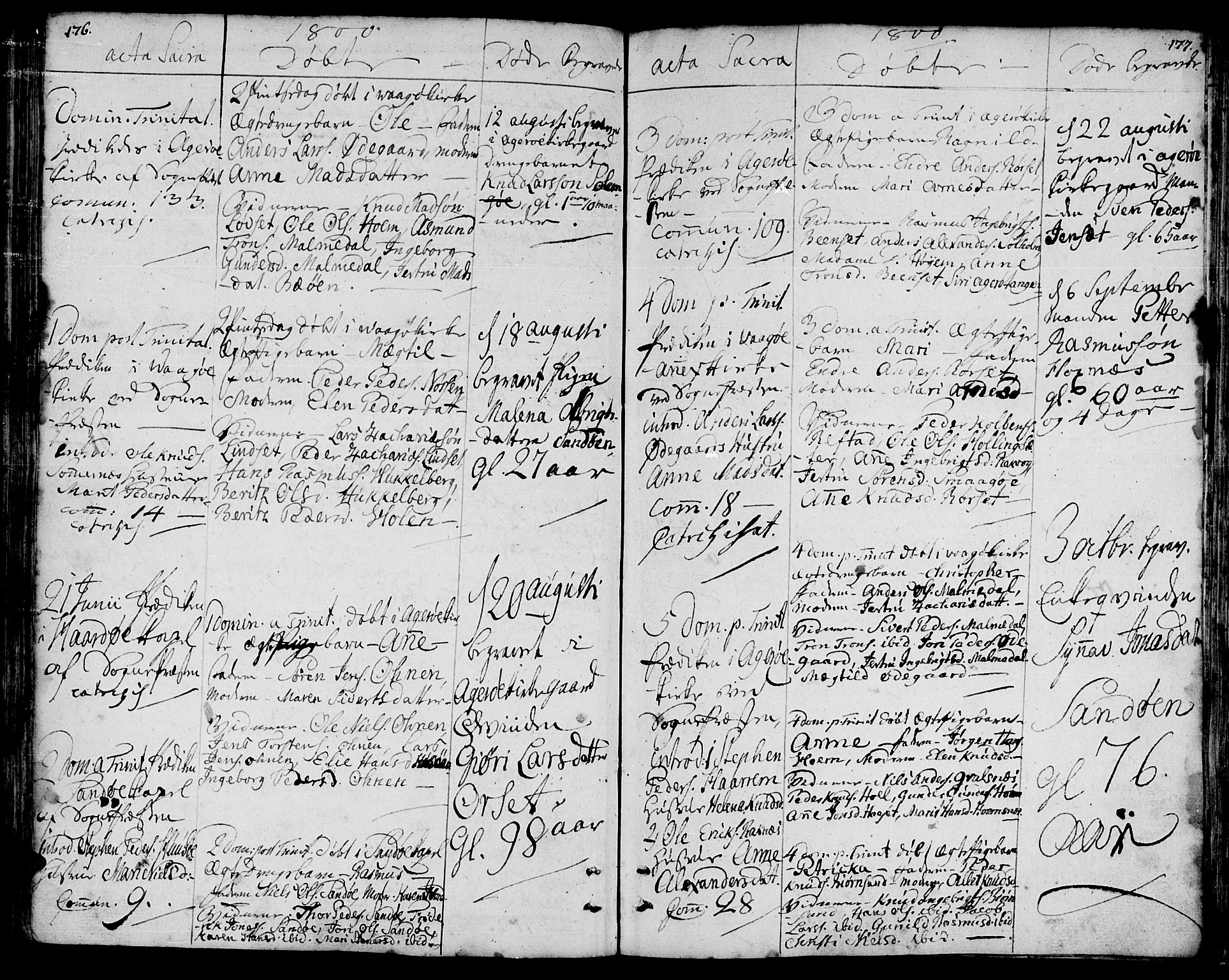 Ministerialprotokoller, klokkerbøker og fødselsregistre - Møre og Romsdal, AV/SAT-A-1454/560/L0717: Ministerialbok nr. 560A01, 1785-1808, s. 176-177