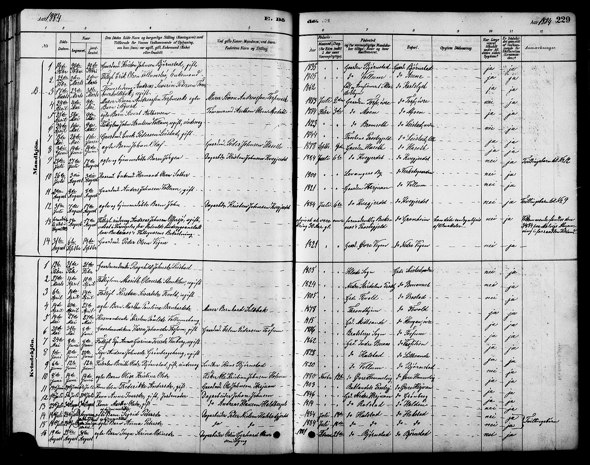 Ministerialprotokoller, klokkerbøker og fødselsregistre - Sør-Trøndelag, SAT/A-1456/616/L0423: Klokkerbok nr. 616C06, 1878-1903, s. 229