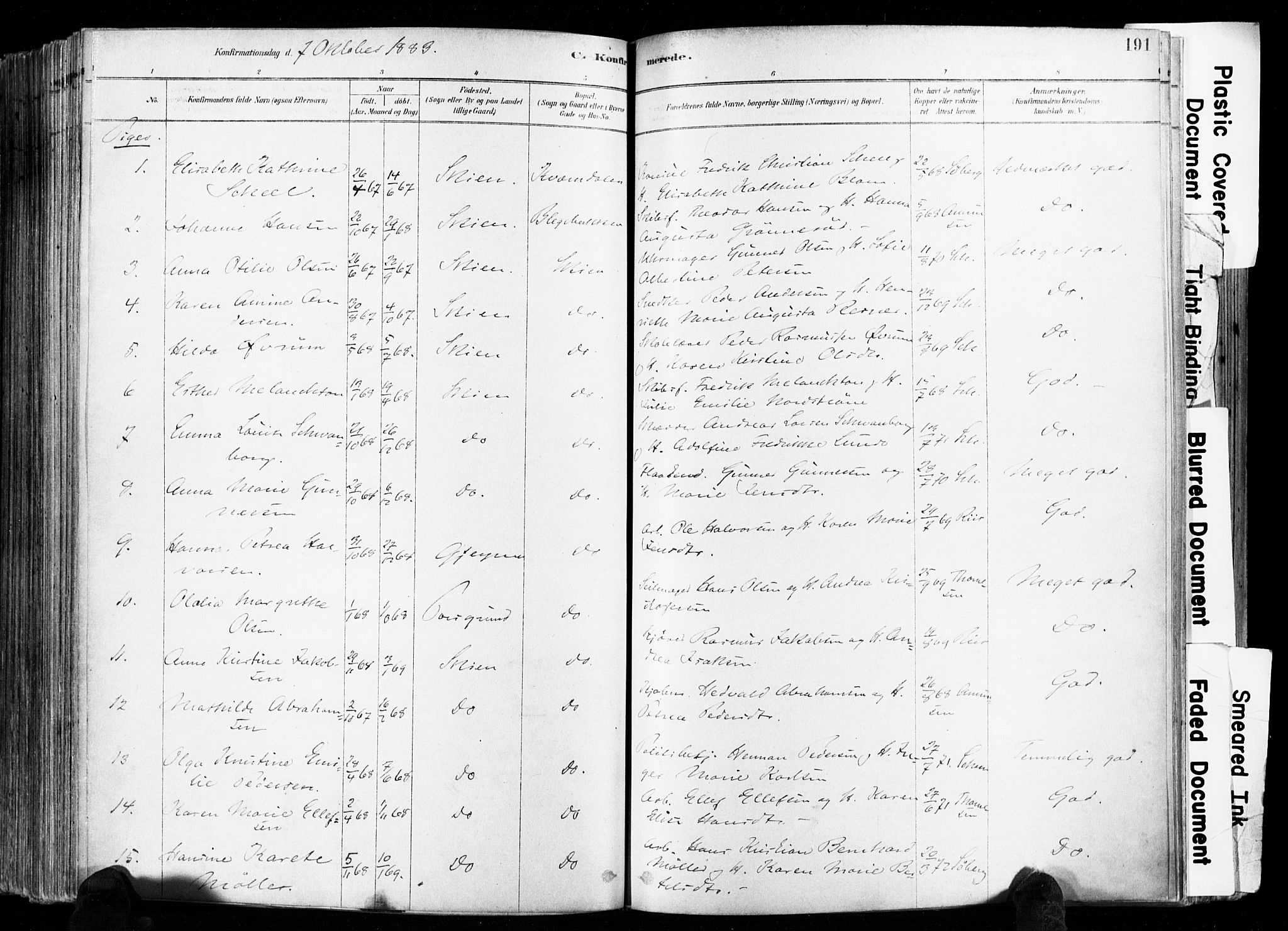 Skien kirkebøker, SAKO/A-302/F/Fa/L0009: Ministerialbok nr. 9, 1878-1890, s. 191
