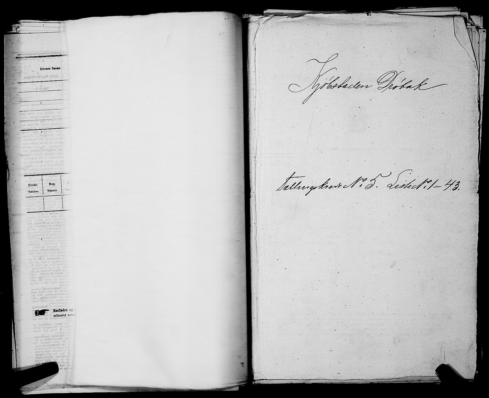 RA, Folketelling 1875 for 0203B Drøbak prestegjeld, Drøbak kjøpstad, 1875, s. 468