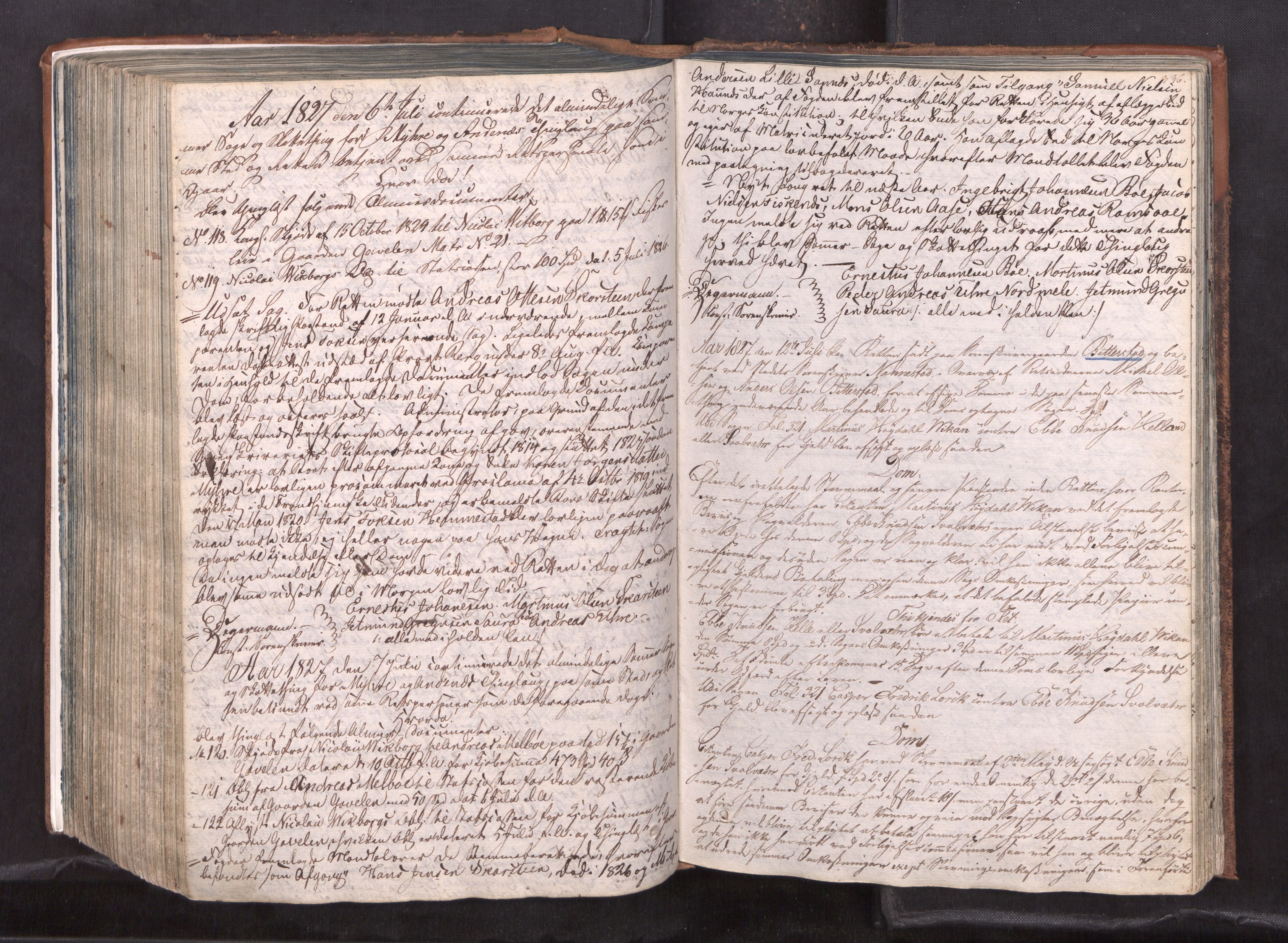 Vesterålen sorenskriveri, AV/SAT-A-4180/1/1/1A/L0018: Tingbok, 1820-1832, s. 335b-336a