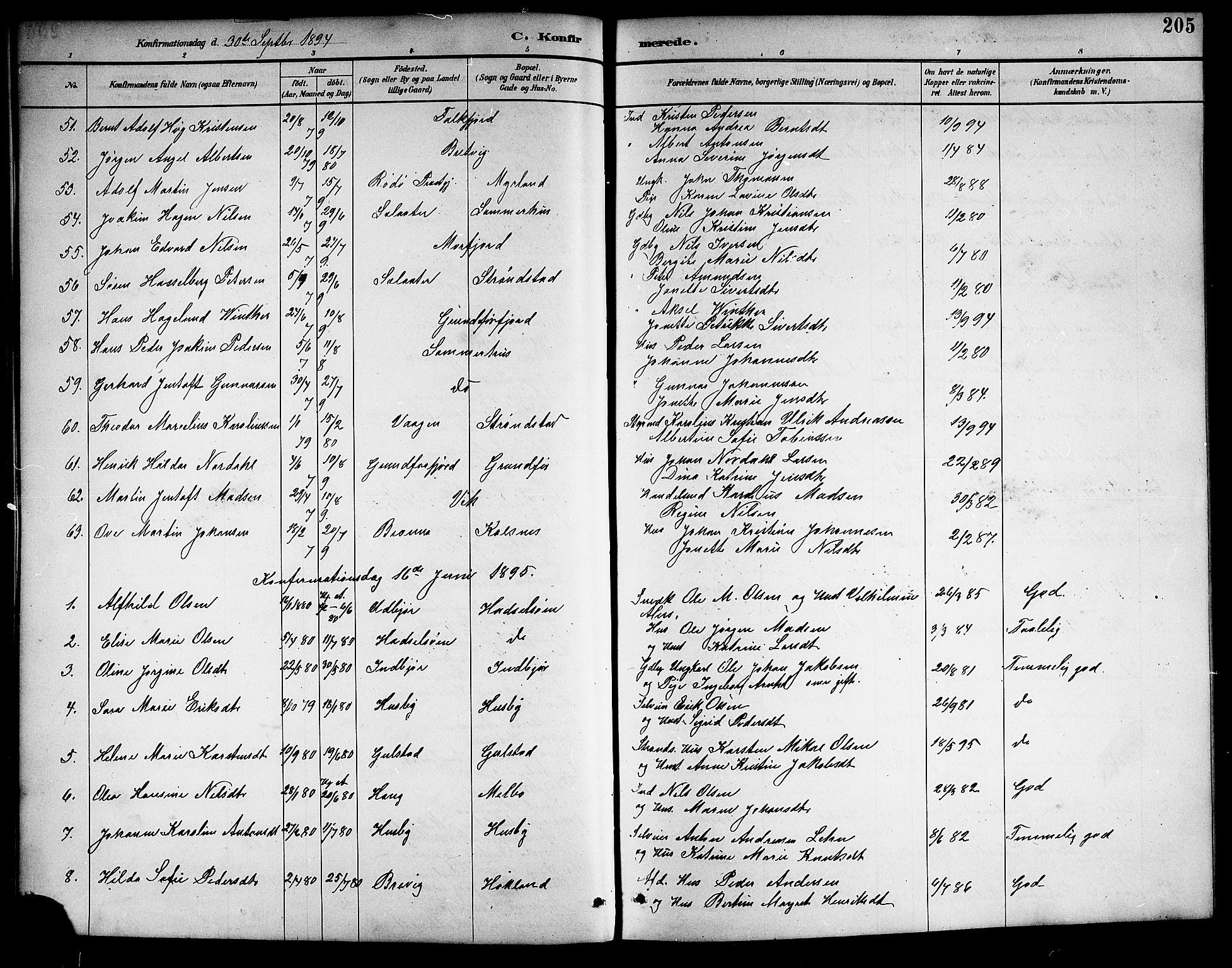 Ministerialprotokoller, klokkerbøker og fødselsregistre - Nordland, SAT/A-1459/888/L1268: Klokkerbok nr. 888C06, 1891-1908, s. 205