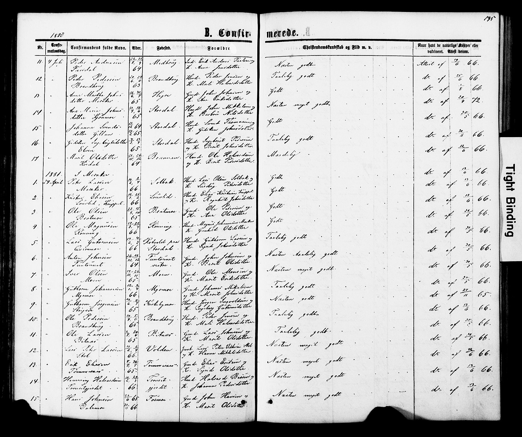 Ministerialprotokoller, klokkerbøker og fødselsregistre - Nord-Trøndelag, SAT/A-1458/706/L0049: Klokkerbok nr. 706C01, 1864-1895, s. 135