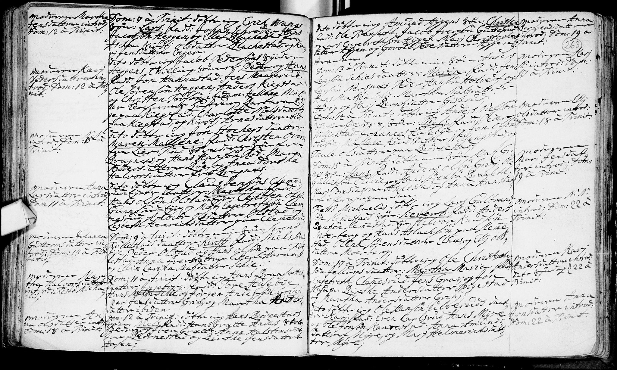 Røyken kirkebøker, AV/SAKO-A-241/F/Fa/L0002: Ministerialbok nr. 2, 1731-1782, s. 263