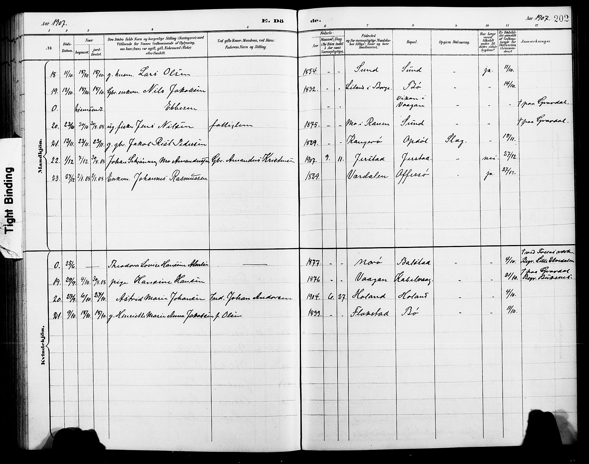 Ministerialprotokoller, klokkerbøker og fødselsregistre - Nordland, AV/SAT-A-1459/881/L1168: Klokkerbok nr. 881C05, 1900-1911, s. 202