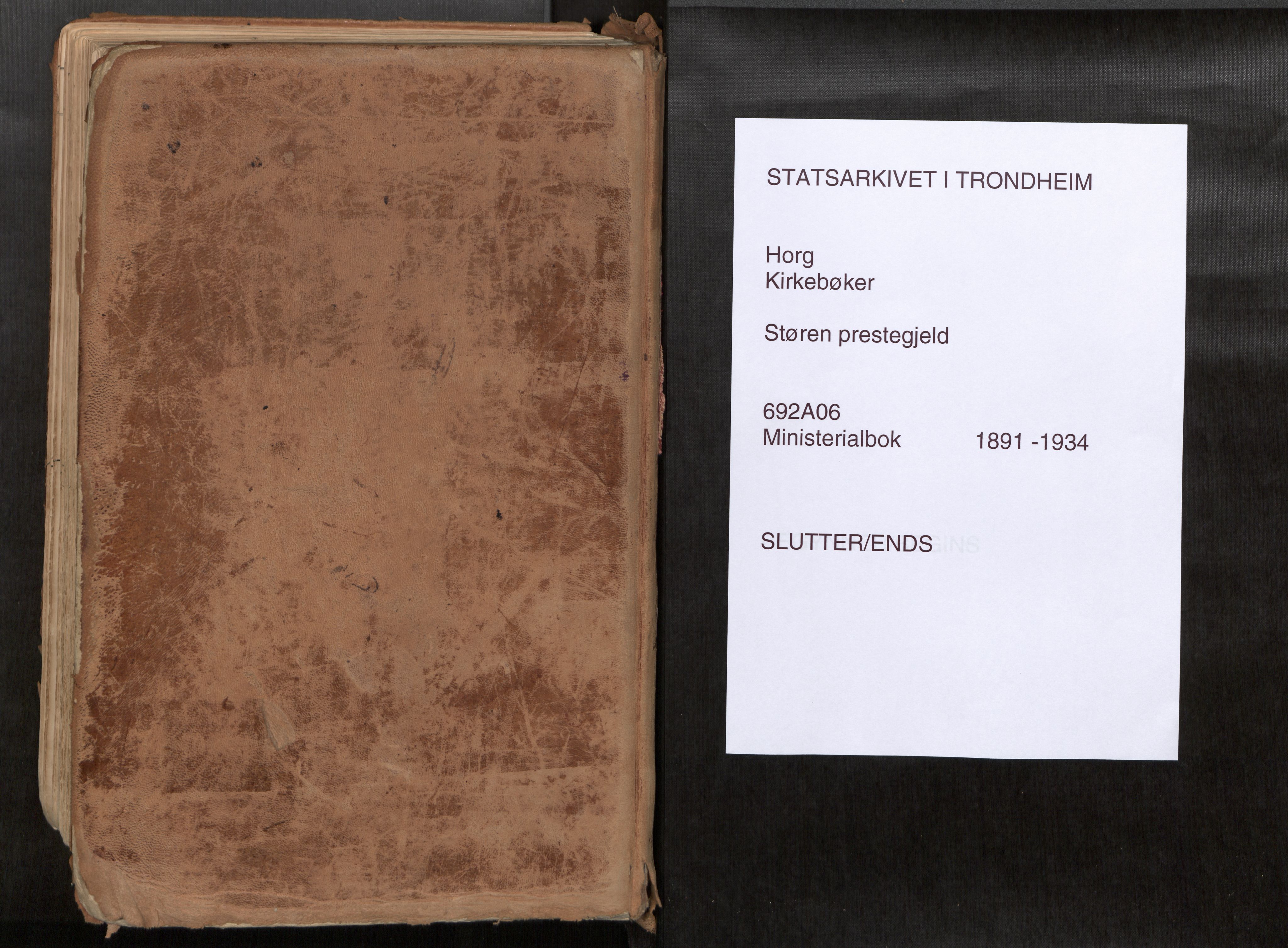 Ministerialprotokoller, klokkerbøker og fødselsregistre - Sør-Trøndelag, AV/SAT-A-1456/692/L1105b: Ministerialbok nr. 692A06, 1891-1934