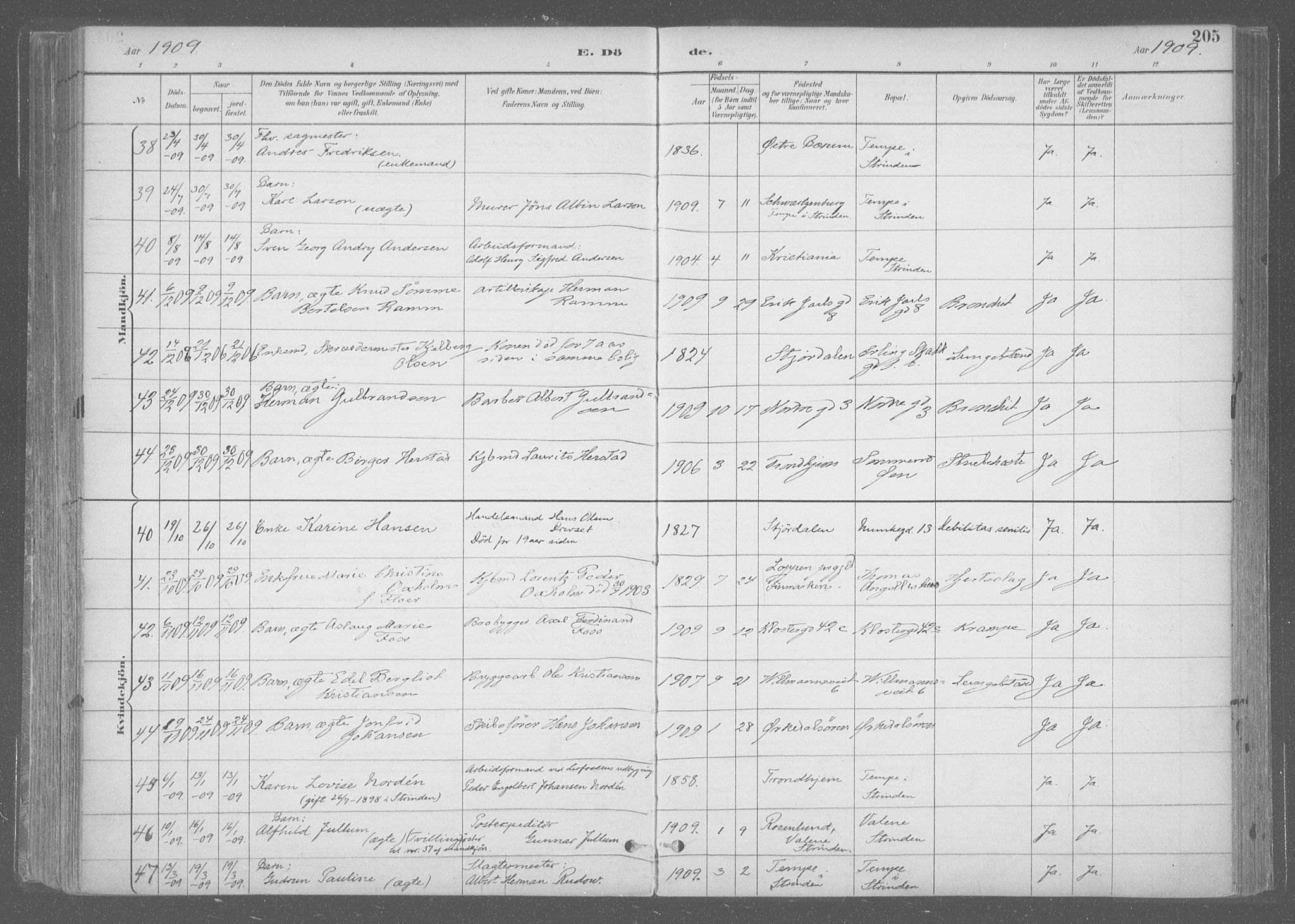 Ministerialprotokoller, klokkerbøker og fødselsregistre - Sør-Trøndelag, SAT/A-1456/601/L0064: Ministerialbok nr. 601A31, 1891-1911, s. 205