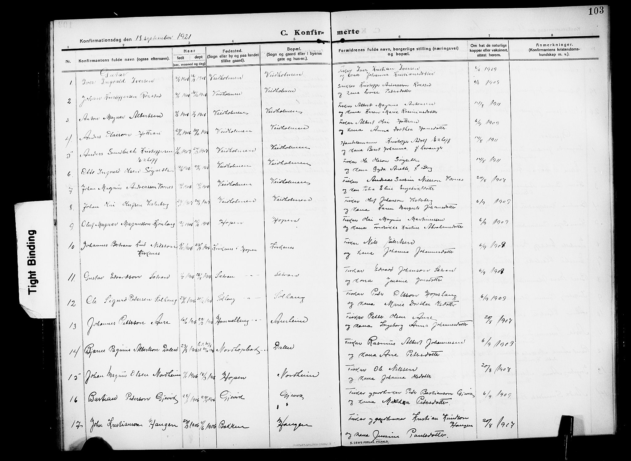 Ministerialprotokoller, klokkerbøker og fødselsregistre - Møre og Romsdal, AV/SAT-A-1454/583/L0956: Klokkerbok nr. 583C01, 1909-1925, s. 103