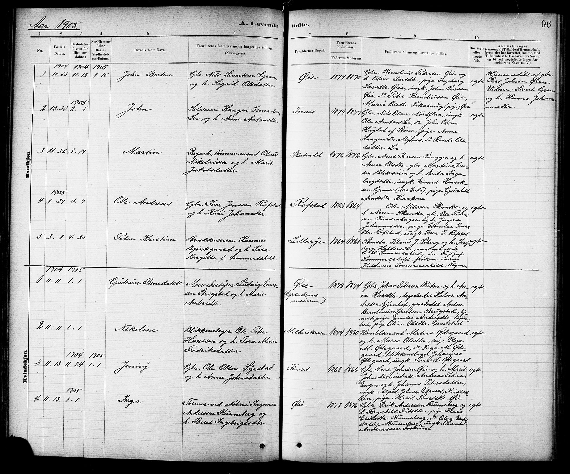 Ministerialprotokoller, klokkerbøker og fødselsregistre - Sør-Trøndelag, AV/SAT-A-1456/691/L1094: Klokkerbok nr. 691C05, 1879-1911, s. 96