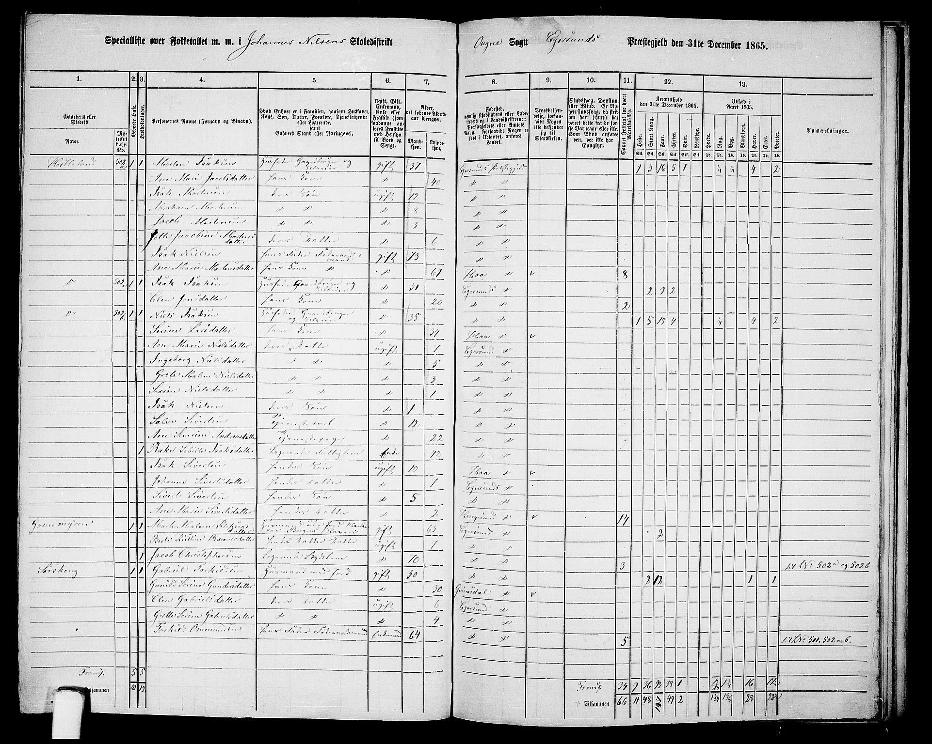 RA, Folketelling 1865 for 1116L Eigersund prestegjeld, Eigersund landsokn og Ogna sokn, 1865, s. 133