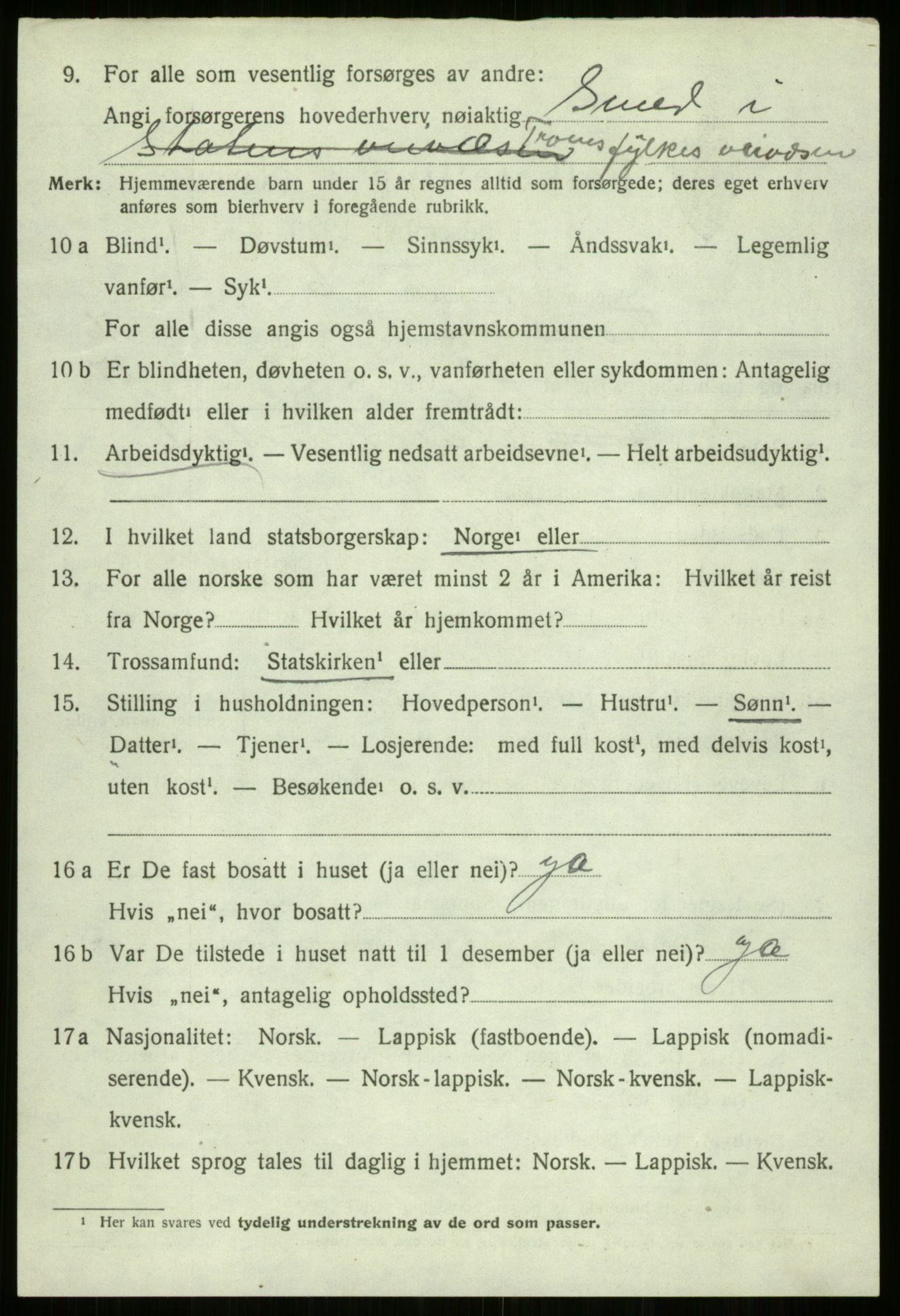 SATØ, Folketelling 1920 for 1914 Trondenes herred, 1920, s. 19293